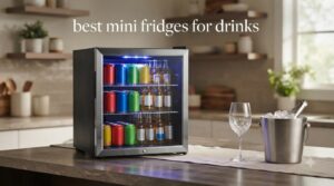 best mini fridges for drinks