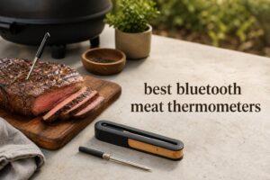 best bluetooth meat thermometers