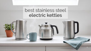 best stainless steel electric kettles