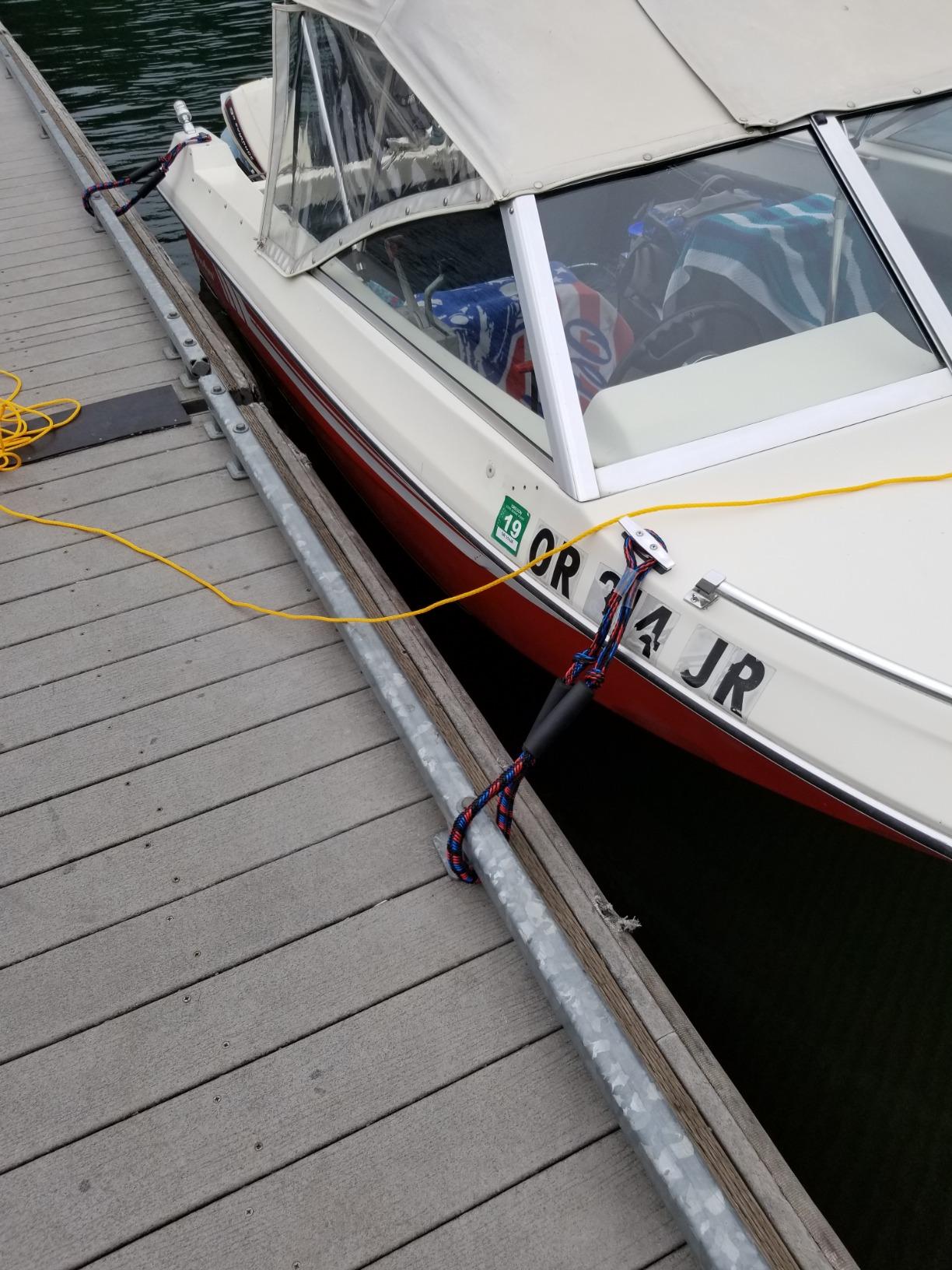 Airhead Bungee Dock Line, Mooring Rope for Boats, 6-Feet customer photo 2