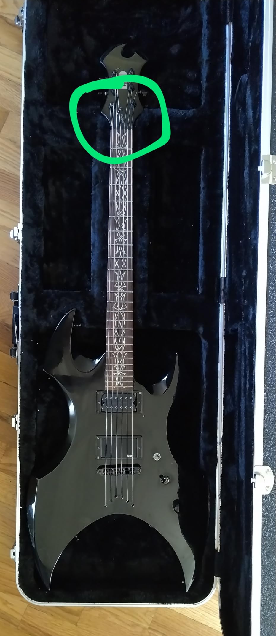 Gator Cases Deluxe ABS Molded Guitar Case for Electric Bass Guitars (GC-BASS) customer photo 2