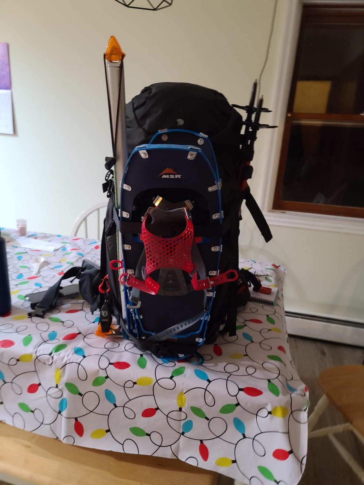 MSR Lightning Ascent Snowshoes customer photo 1