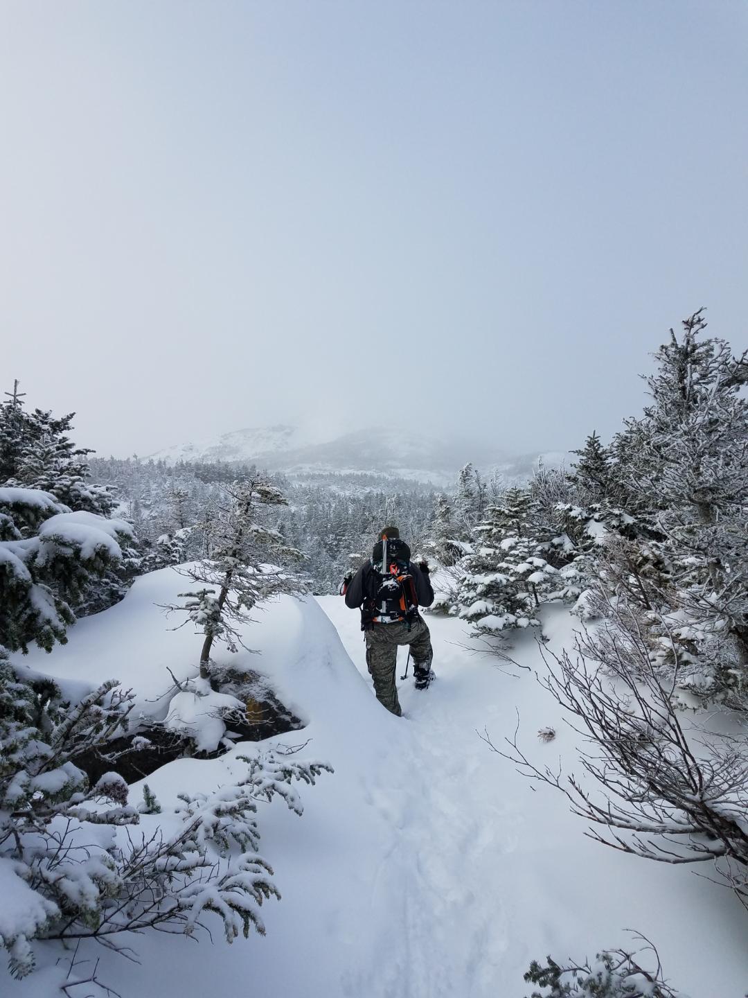 MSR Lightning Ascent Snowshoes customer photo 2