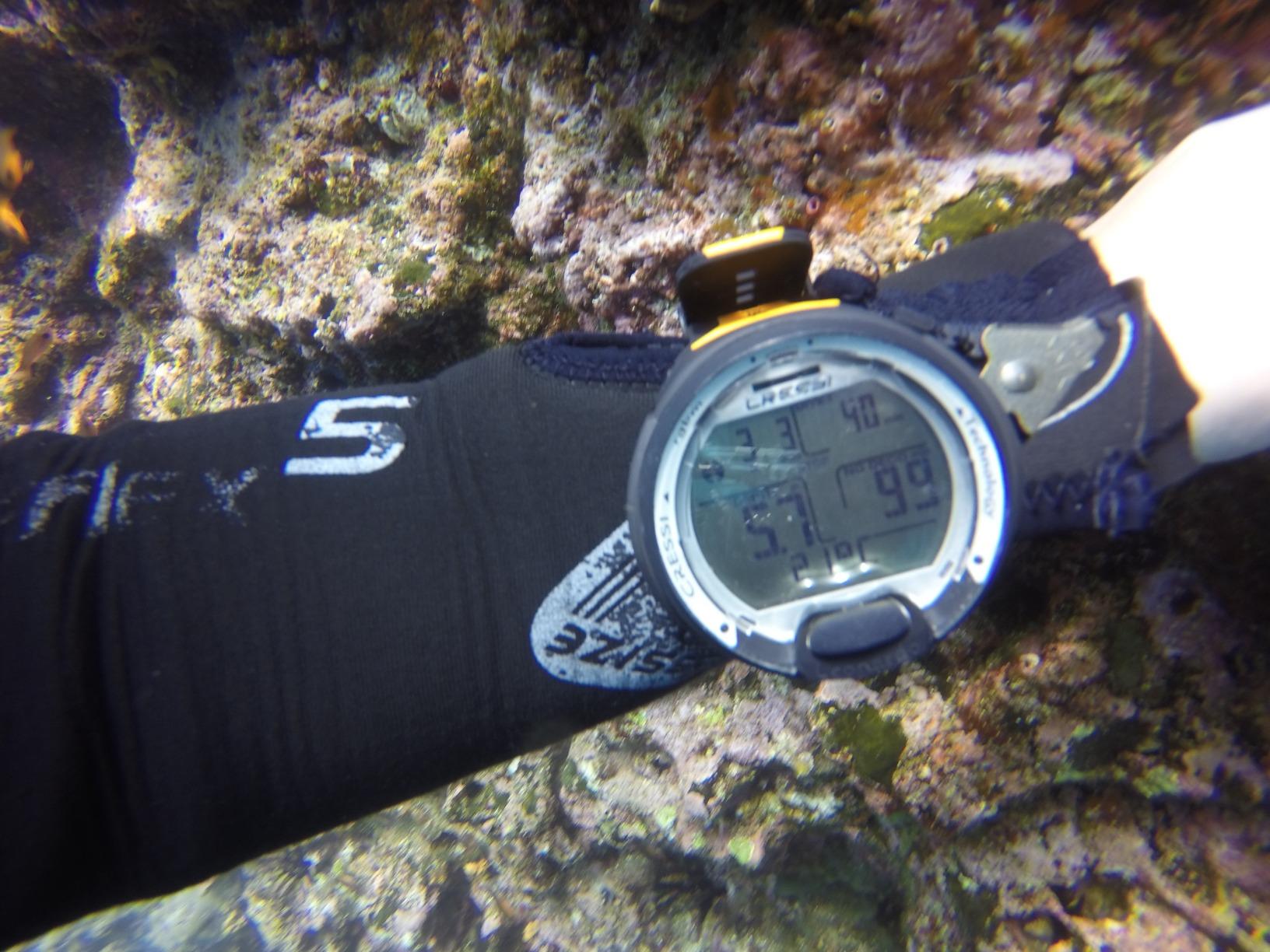 CRESSI Leonardo 2.0 Scuba Dive Watch, Air Nitrox Gauge, Black/Blue | Dive Computer, Air Nitrox Gauge Modes, Single-Button Control, Visual & Audible Alarm, USB & Infrared Transfer, Diving Watch customer photo 1