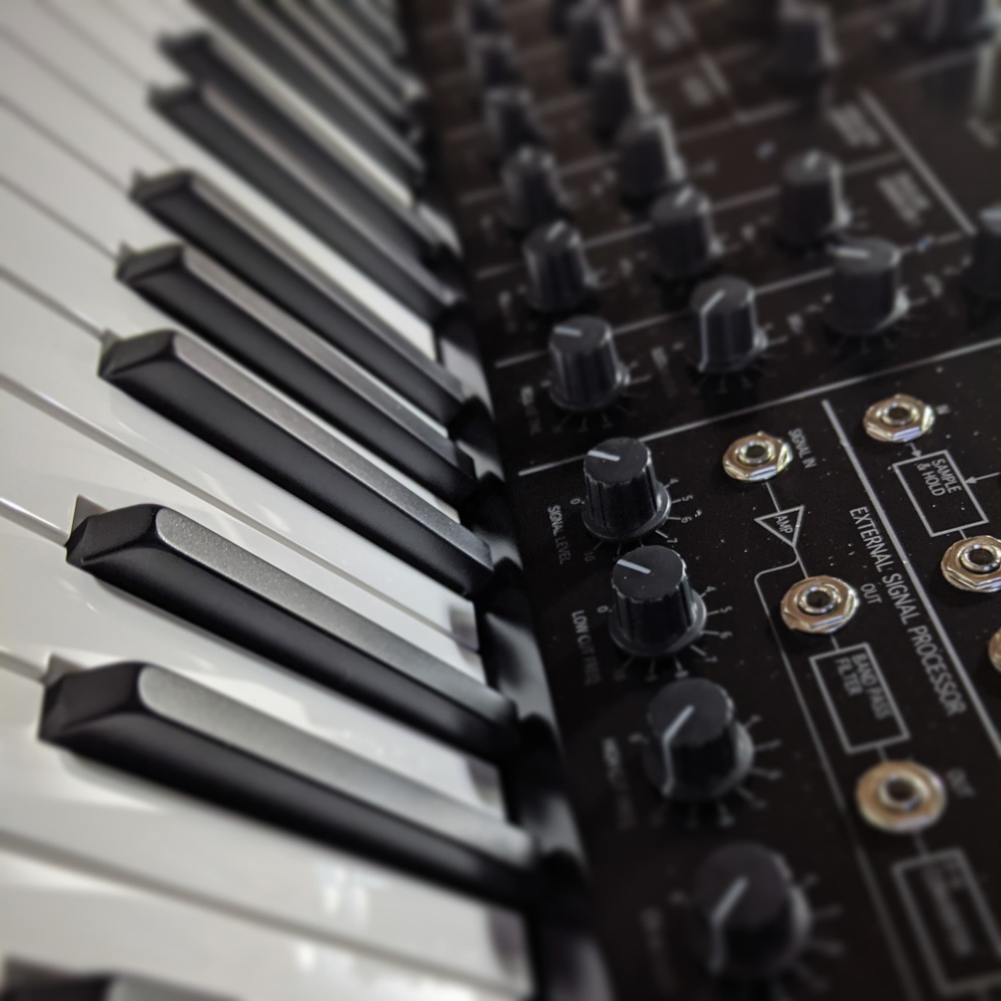 Korg MS20 Mini Semi-Modular Analog Synthesizer (MS20MINI) customer photo 1