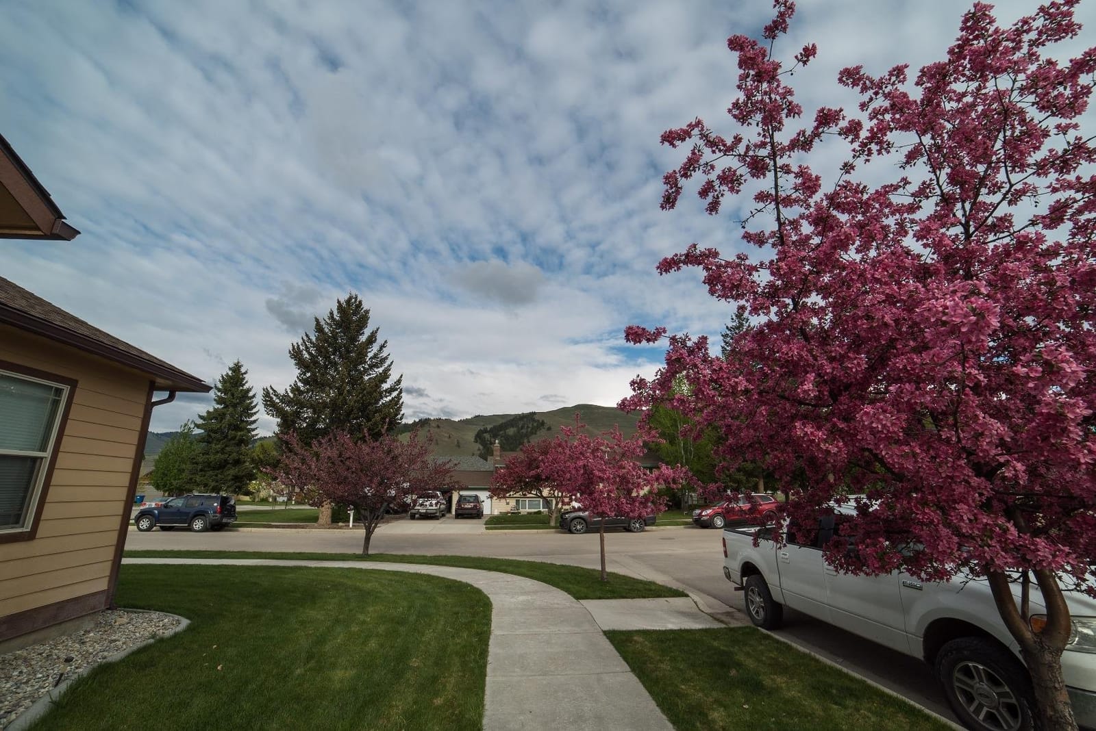 Rokinon FE14M-E 14mm F2.8 Ultra Wide Lens for Sony E-mount and Fixed Lens for Other Cameras customer photo 2