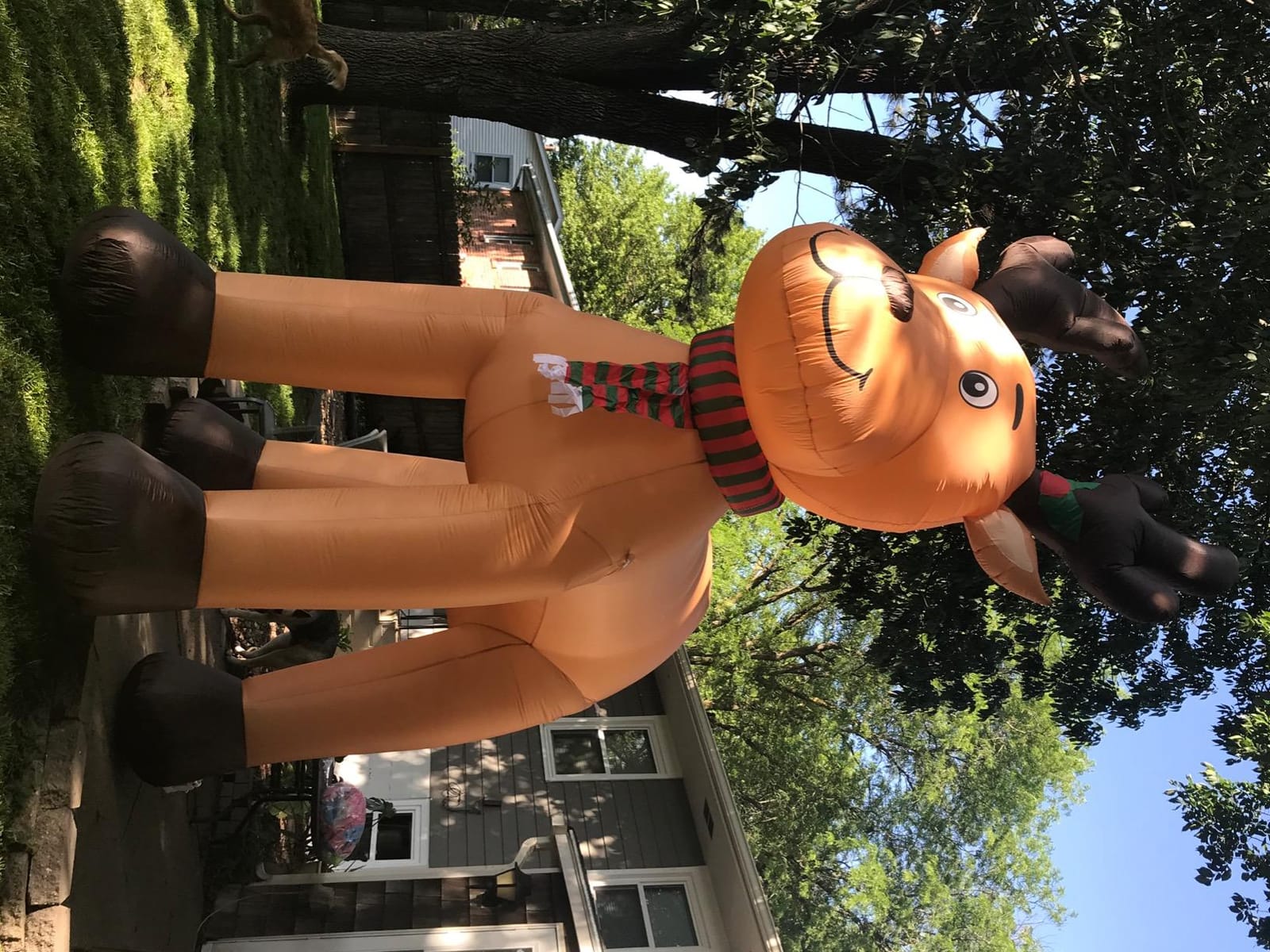 15 FT Tall Jumbo Christmas Inflatable Reindeer customer photo 2