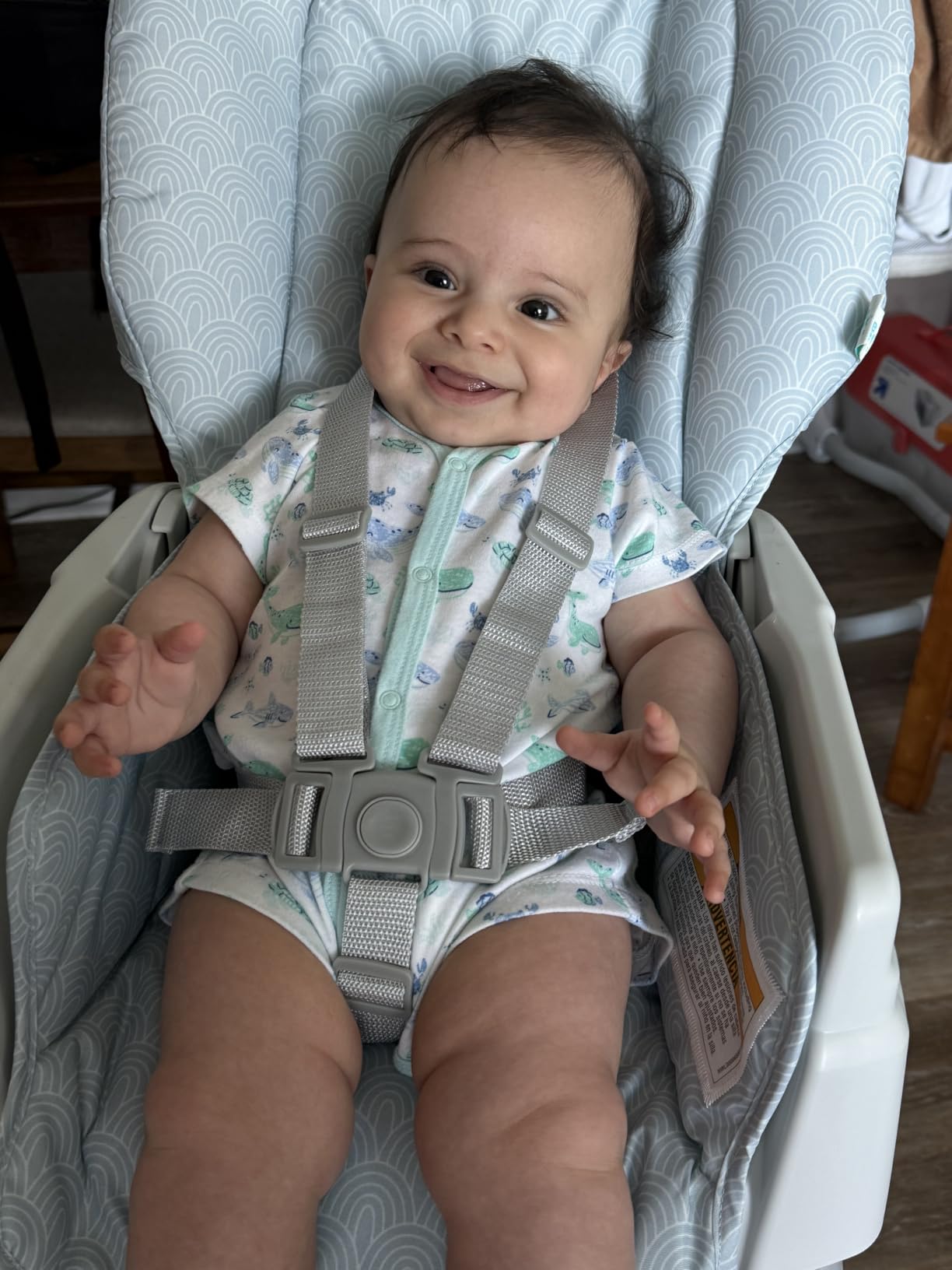 Graco Slim Snacker High Chair, Ultra Slim, Fast-Folding, Multiple Recline Positions customer photo 1