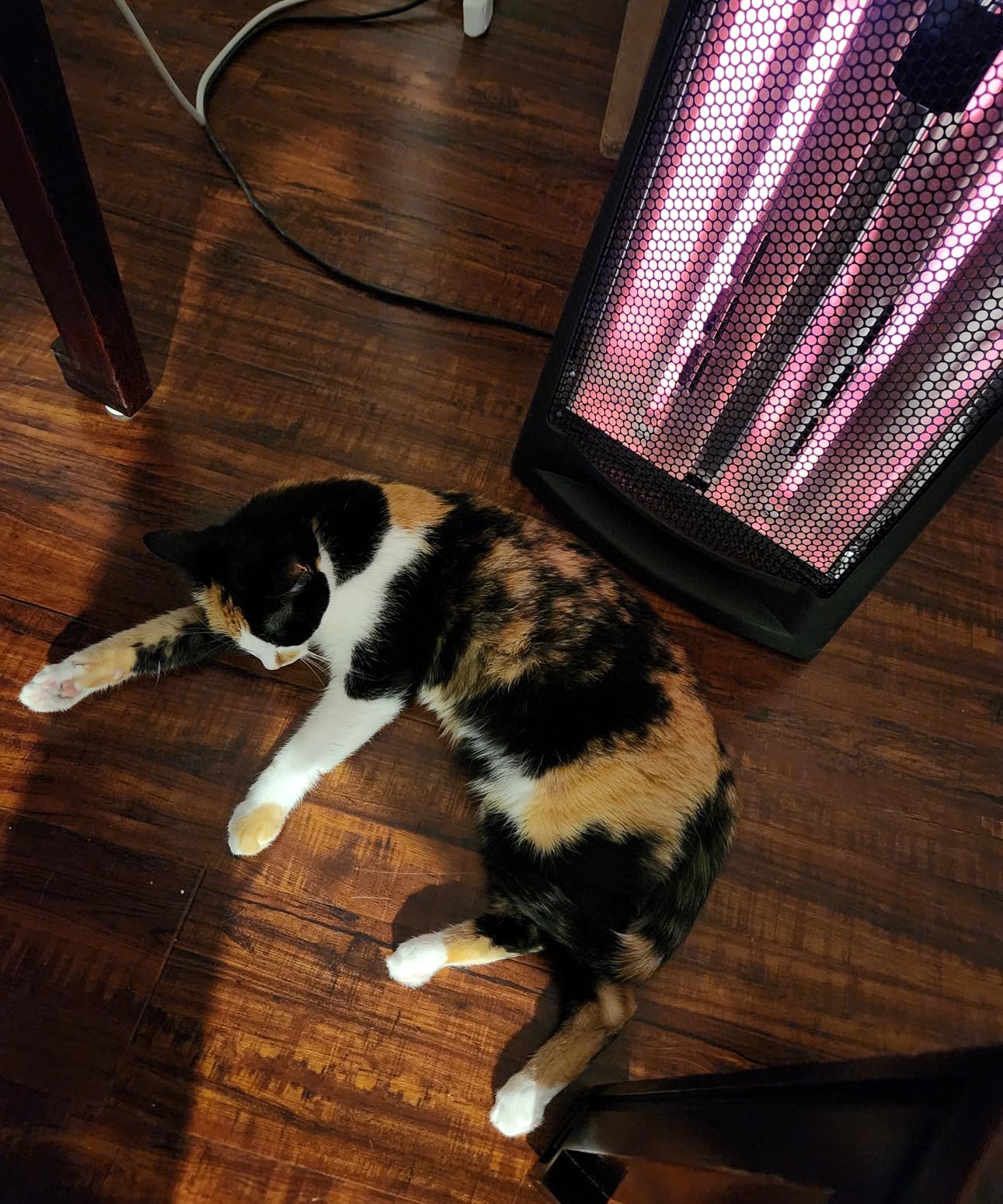 Comfort Zone Space Heaters for Indoor Use, Portable Electric Heater, Adjustable Thermostat, Infrared Heat, Quartz Tower Space Heater with 2 Heat Settings, Bedroom Heater, Black customer photo 2