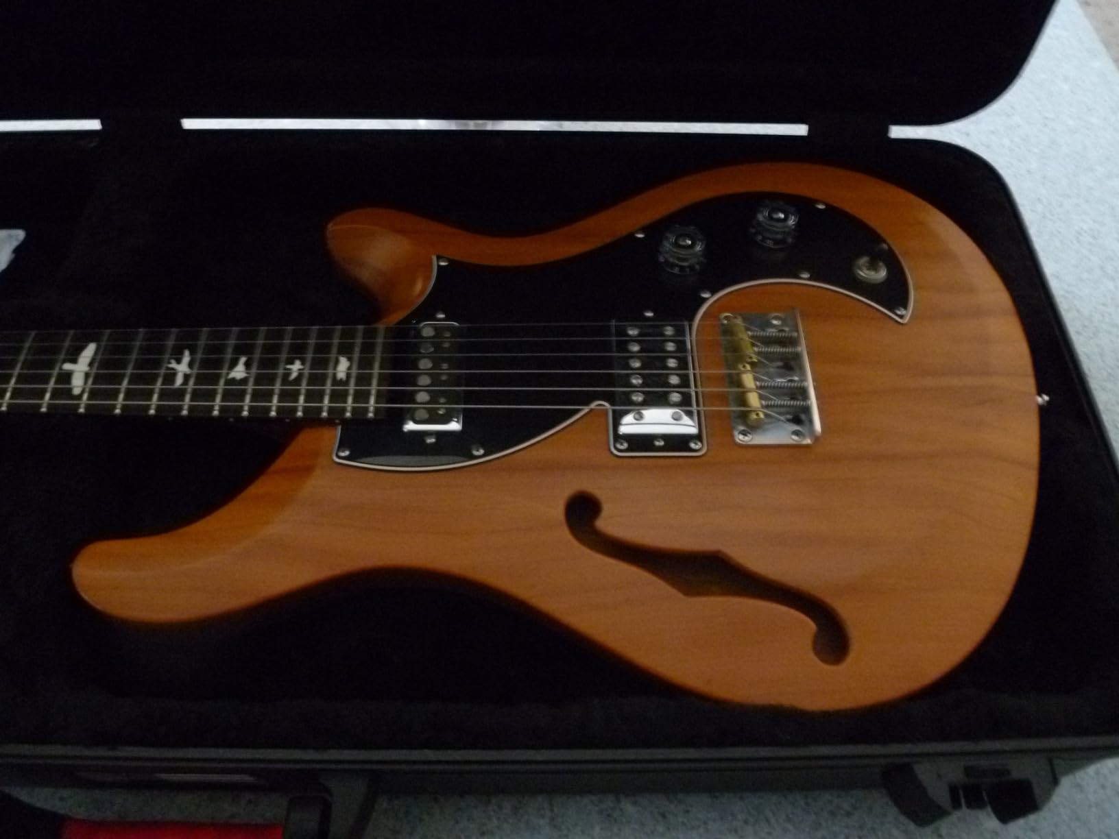 Gator Cases Molded Flight Case for Strat/Tele Style Electric Guitars with TSA Approved Locking Latch, (GTSA-GTRELEC) customer photo 1