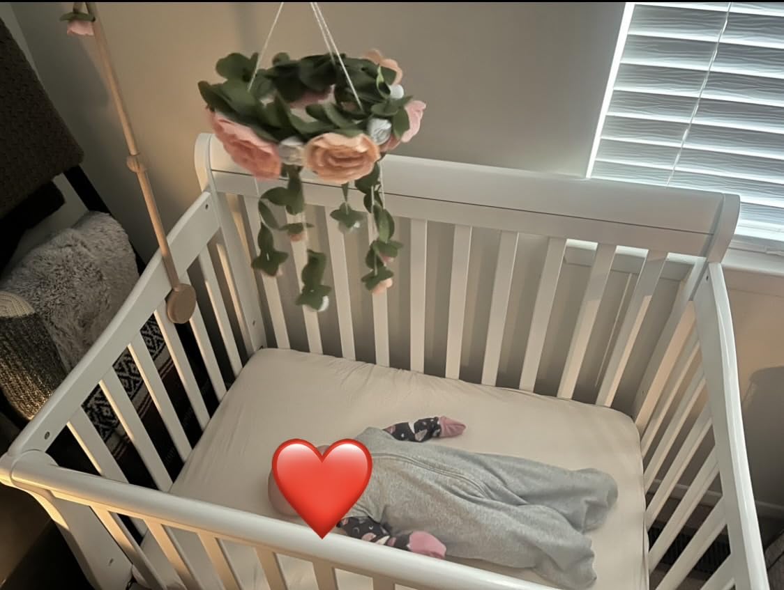Dream On Me 4-in-1 Mini Baby Crib for Small Spaces, Aden, Grey, GREENGUARD Gold, ASTM/CPSC Compliant, BSA Verified, Converts to Daybed & Twin Bed, 3 Adjustable Heights, New Zealand Pine customer photo 2
