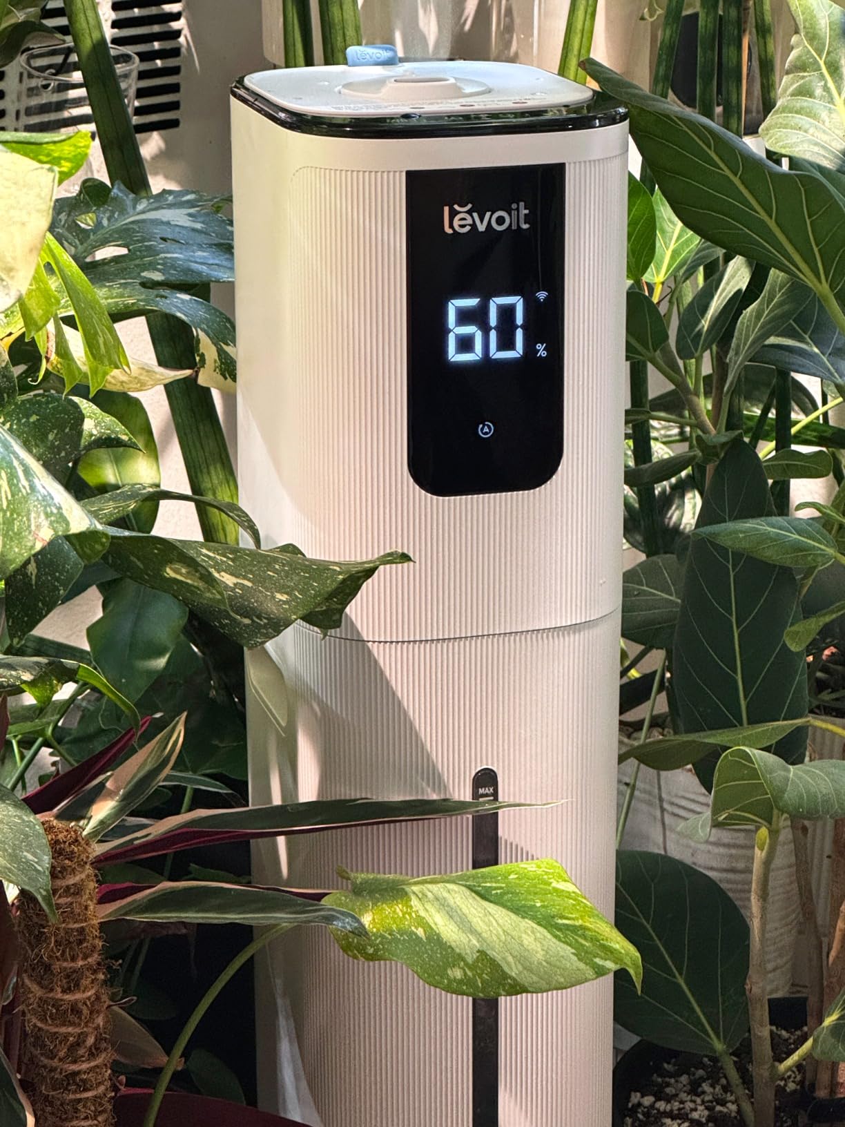Levoit Humidifiers for Bedroom Large Room Home, Warm and Cool Mist, White customer photo 2