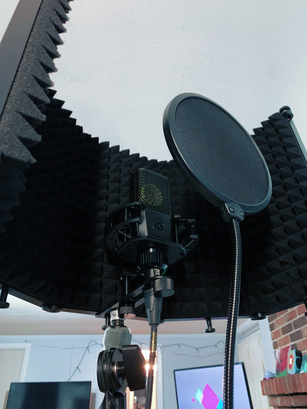 LEWITT LCT440PURE Large Diaphragm Condenser Mic customer photo 1