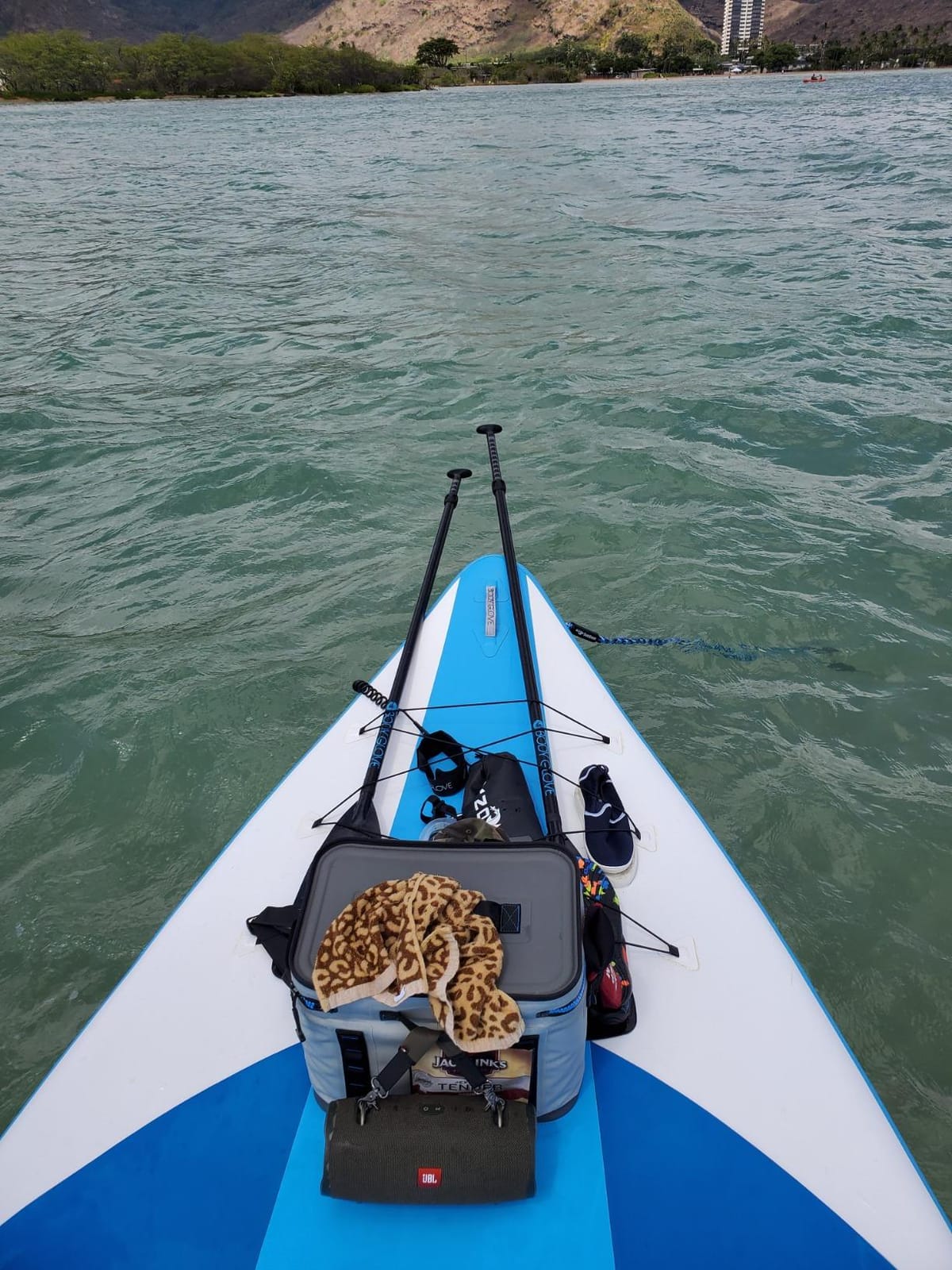 SandShark Lite Series Boat Anchor - Shallow Water Anchor Pole - Jet Ski Anchor, Kayak Anchor, Pontoon Boat Accessories for Beach and Sandbar - 316 Stainless Steel w/Handle and Padded Case customer photo 1