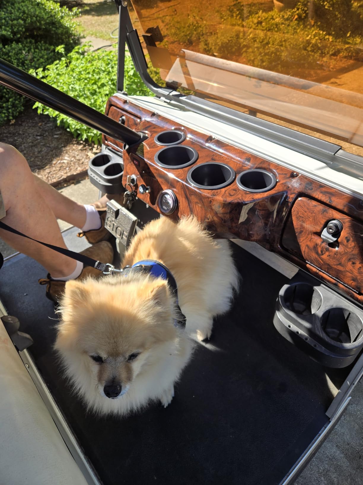 Dark Burled Woodgrain Full Dash Panel for Club Car DS (1981+) - 4 Cupholders, 2 Locking Glove Boxes, OEM-Style Finish customer photo 1