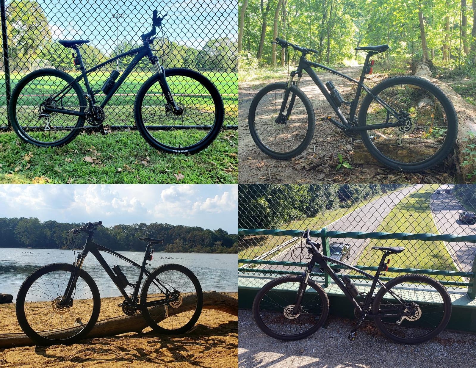 Tommaso Gran Sasso 29er Mountain Bike Hydraulic Disc Hardtail Best Looking MTB customer photo 1