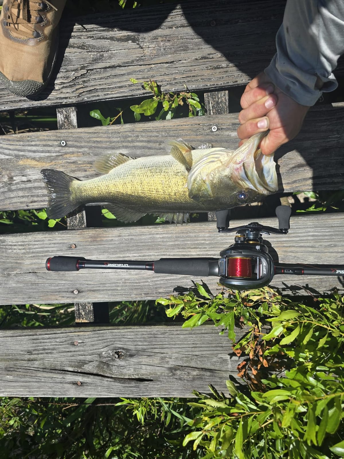 Piscifun Torrent Fishing Rod, IM6 Carbon 2-Piece Baitcaster & Spining Rod customer photo 2