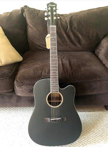 Donner Acoustic Guitar for Beginner Adult Full Size Cutaway Acustica Guitarra Bundle Kit with Free Online Lesson Bag Strap Tuner Capo Pickguard String Pick, Right Hand 41”Sunburst, DAG-1CS/DAD-160CS customer photo 2