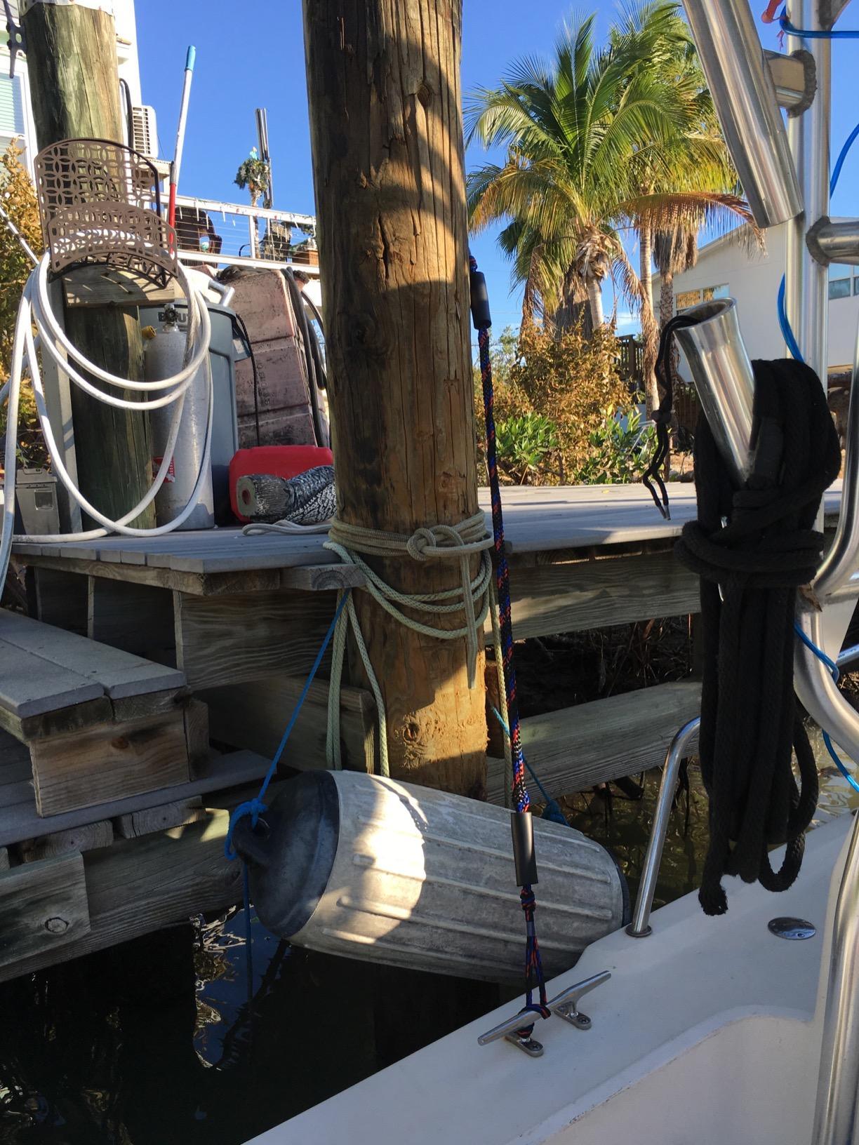 Bungee Dock Lines for Boats, Quick Connect No Knots, Shock Absorbing Mooring Lines, Boating Gifts for Men, Boat Accessories for Pontoon, Bass Boat, Jet Ski customer photo 2