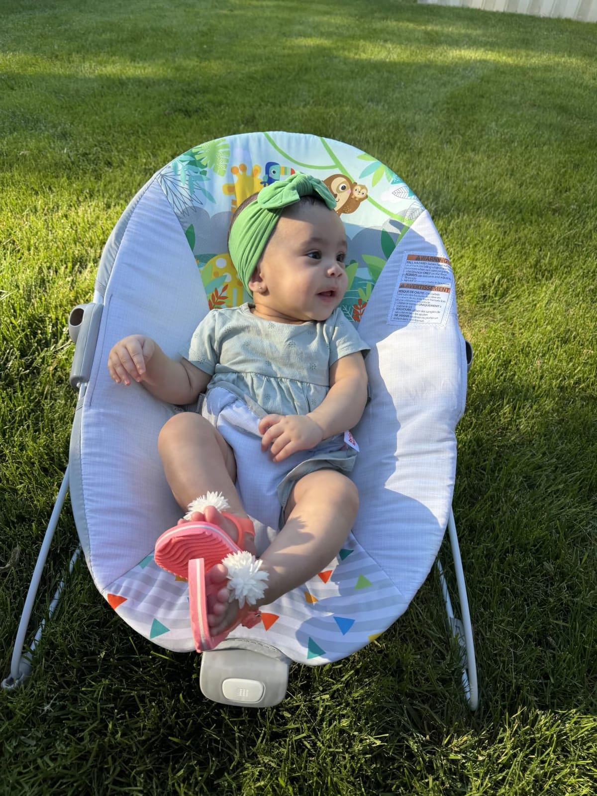 Bright Starts Baby Bouncer Soothing Vibrations Infant Seat - Removable Toy Bar, Nonslip Feet, 0-6 Months Up to 20 lbs (Safari Fun) customer photo 2