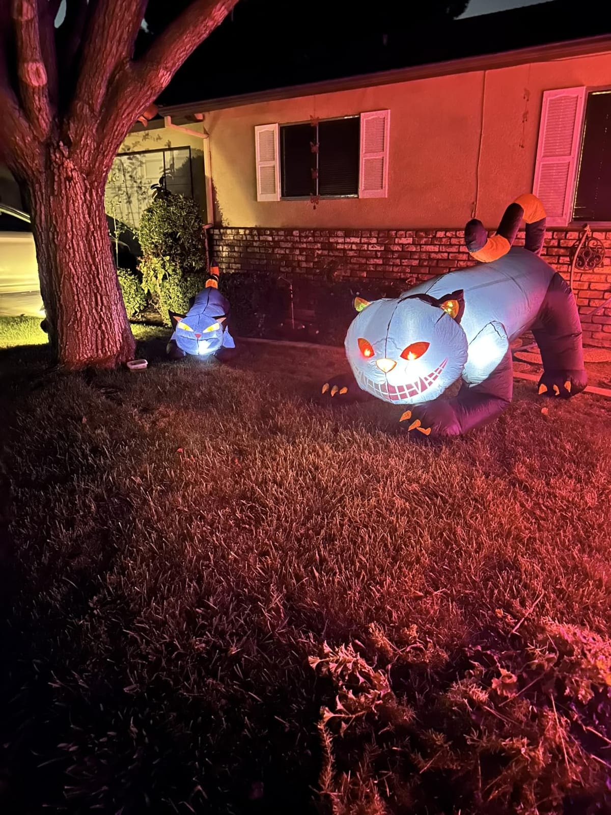 GOOSH 6 FT Halloween Inflatables Outdoor Black Cat with Shakable Head, Blow Up Yard Decoration with LED Lights Built-in for Holiday/Party/Yard/Garden customer photo 2
