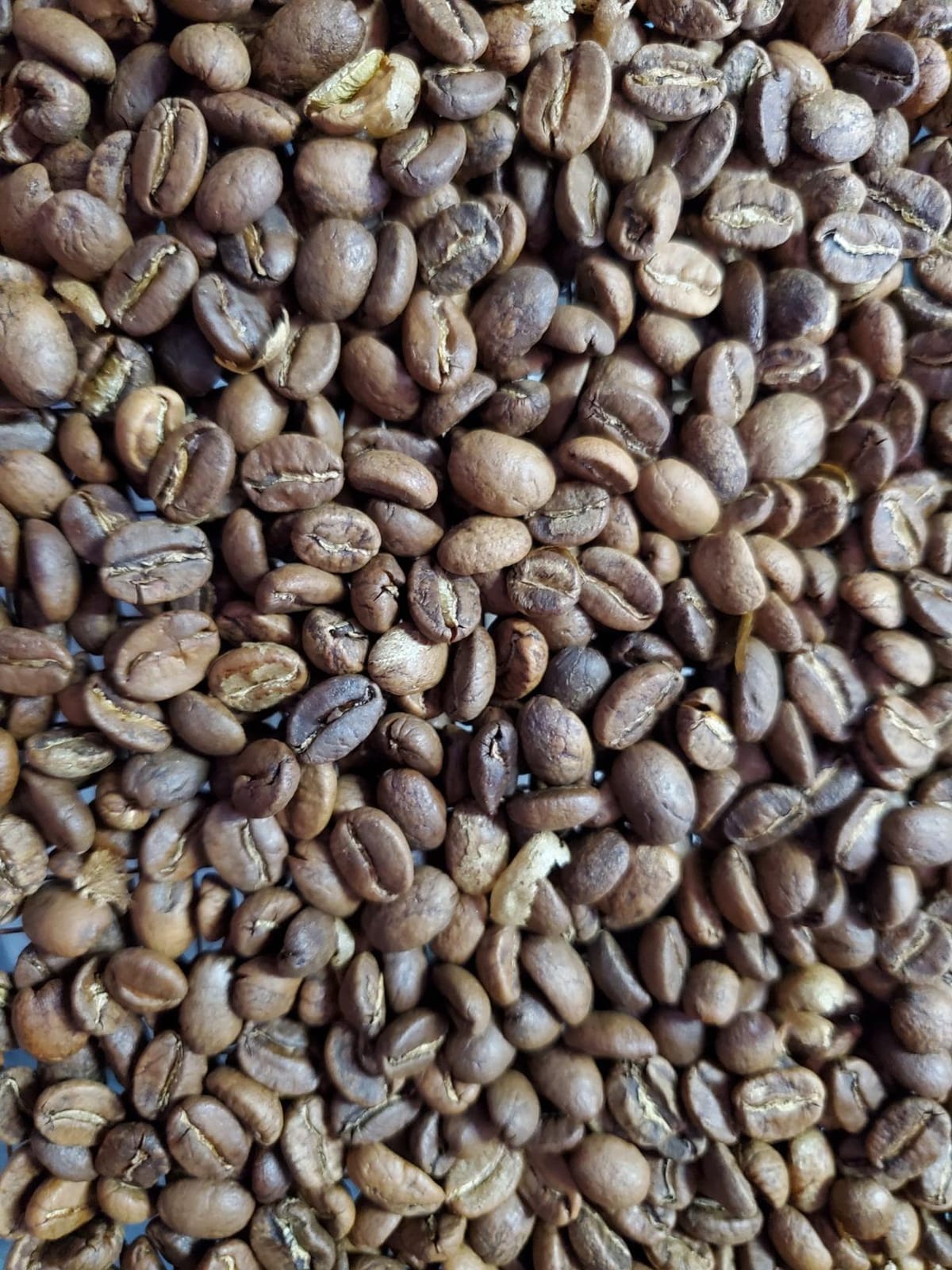 LUEUR Electric Coffee Roasters For Home Use,Coffee Bean Roaster Machine Coffee Bean Roaster For Stovetop, Countertop, Commercial Coffee Bean Roasting Machine 110V customer photo 1