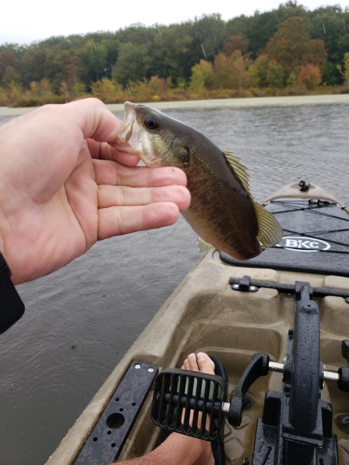 Pflueger Trion Spinning Reel customer photo 1