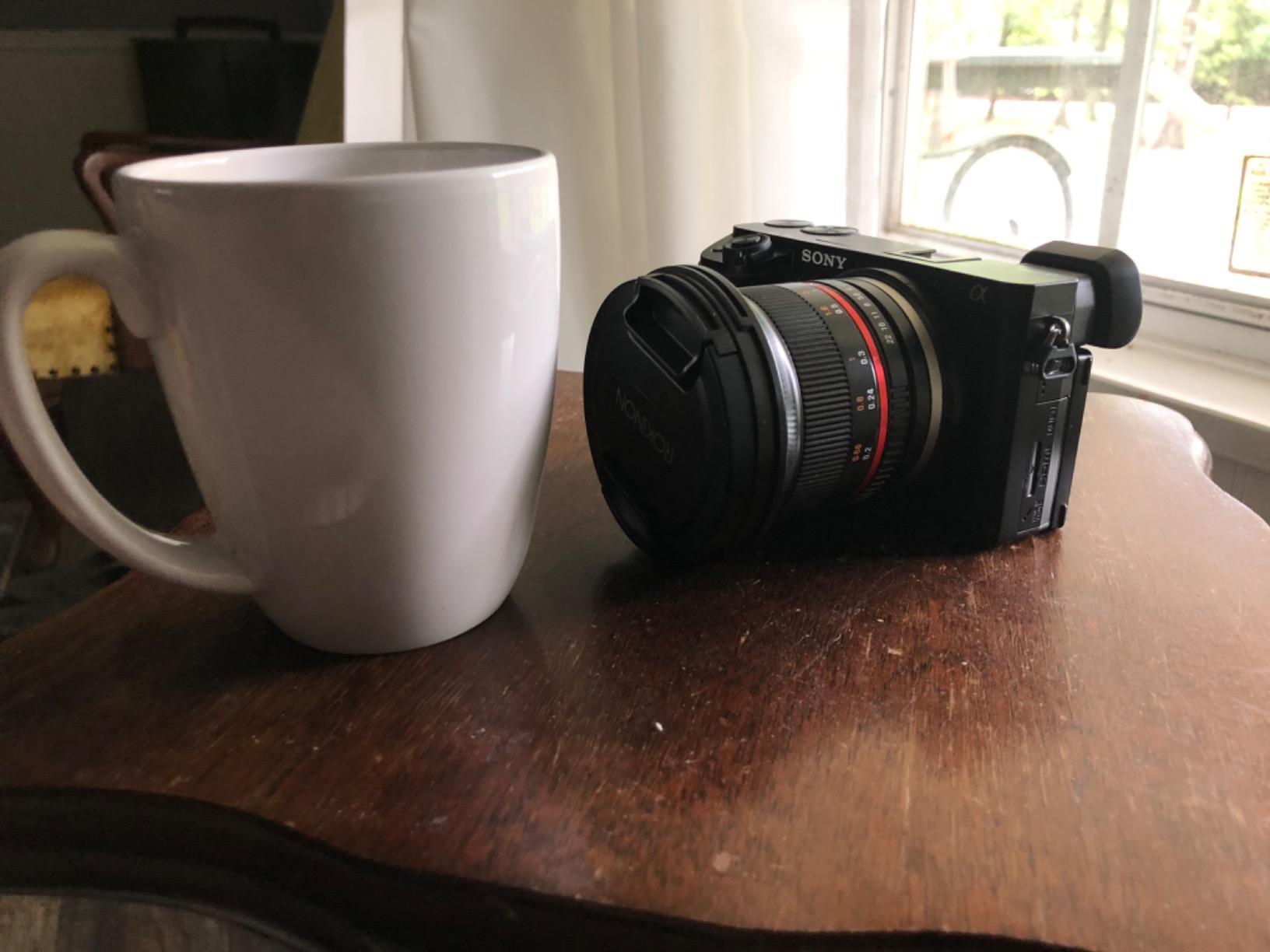 Sony Alpha A6100 Mirrorless Camera, Black customer photo 1
