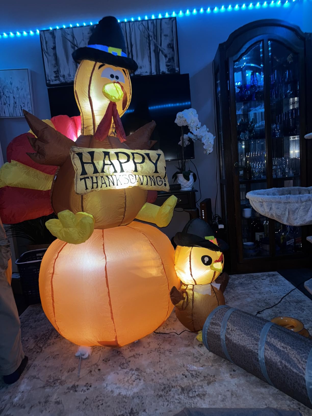 GOOSH 6 FT Thanksgiving Inflatables Turkey Outdoor Decorations Blow Up Yard Turkey on Pumpkin with Turkey Baby with Built-in LEDs for Indoor Party Garden Lawn Decor customer photo 1