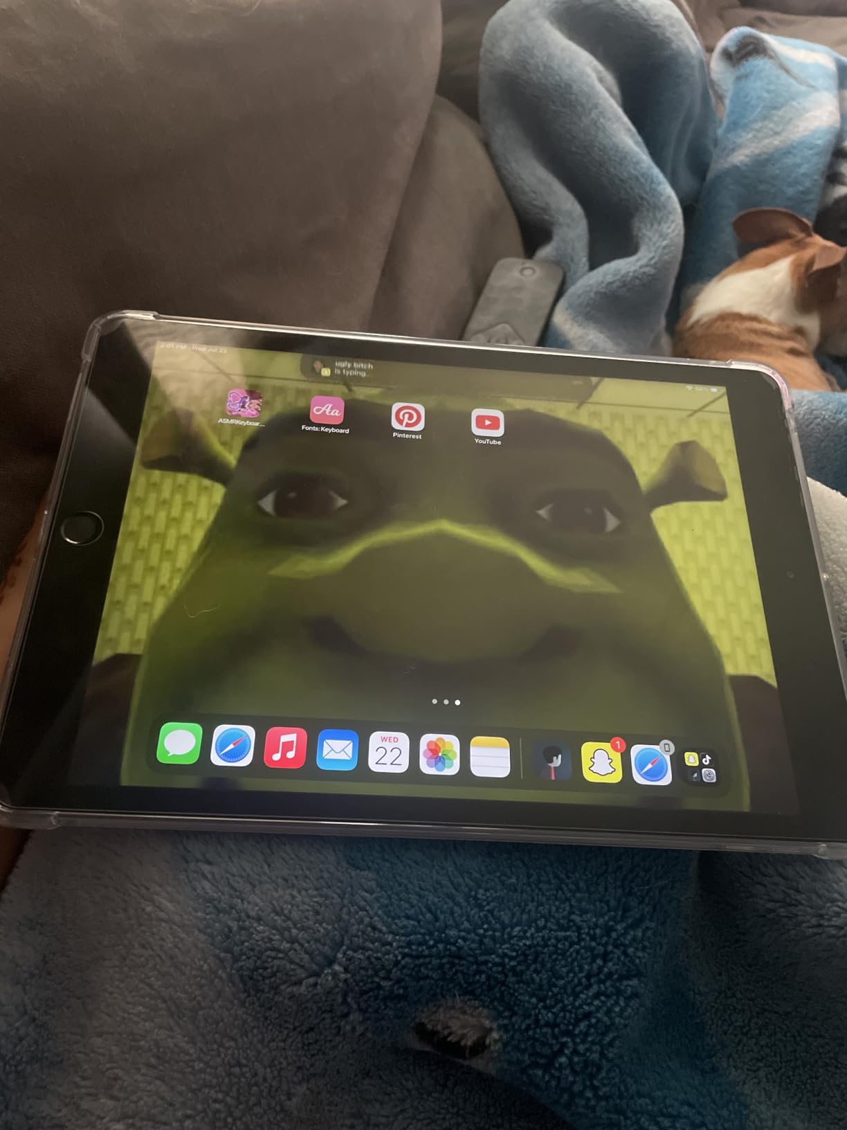 Apple iPad, 10.2-Inch, Wi-Fi, 32GB, Space Gray (Renewed) customer photo 2
