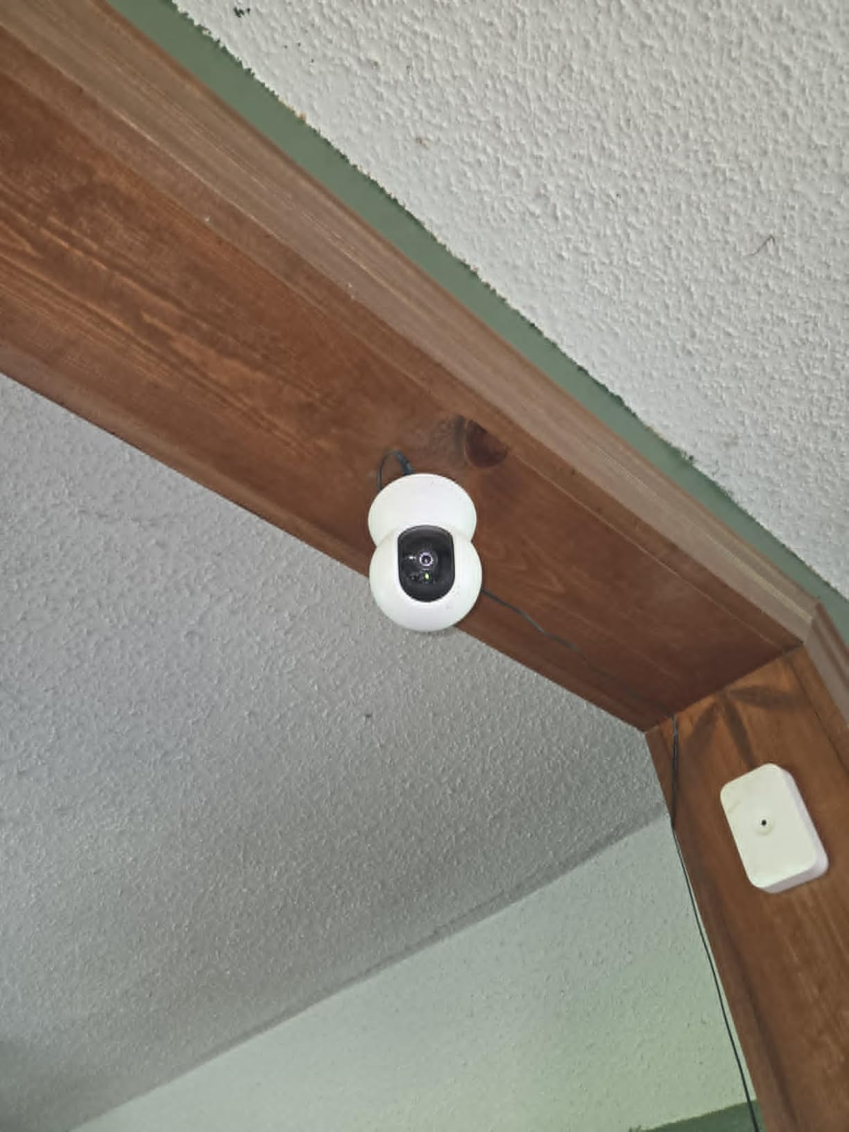 TP-Link Tapo Pan/Tilt Security Camera for Baby Monitor, Pet Camera w/Motion Detection, 1080P, 2-Way Audio, Night Vision, Cloud & SD Card Storage, Works with Alexa & Google Home (Tapo C200) customer photo 2
