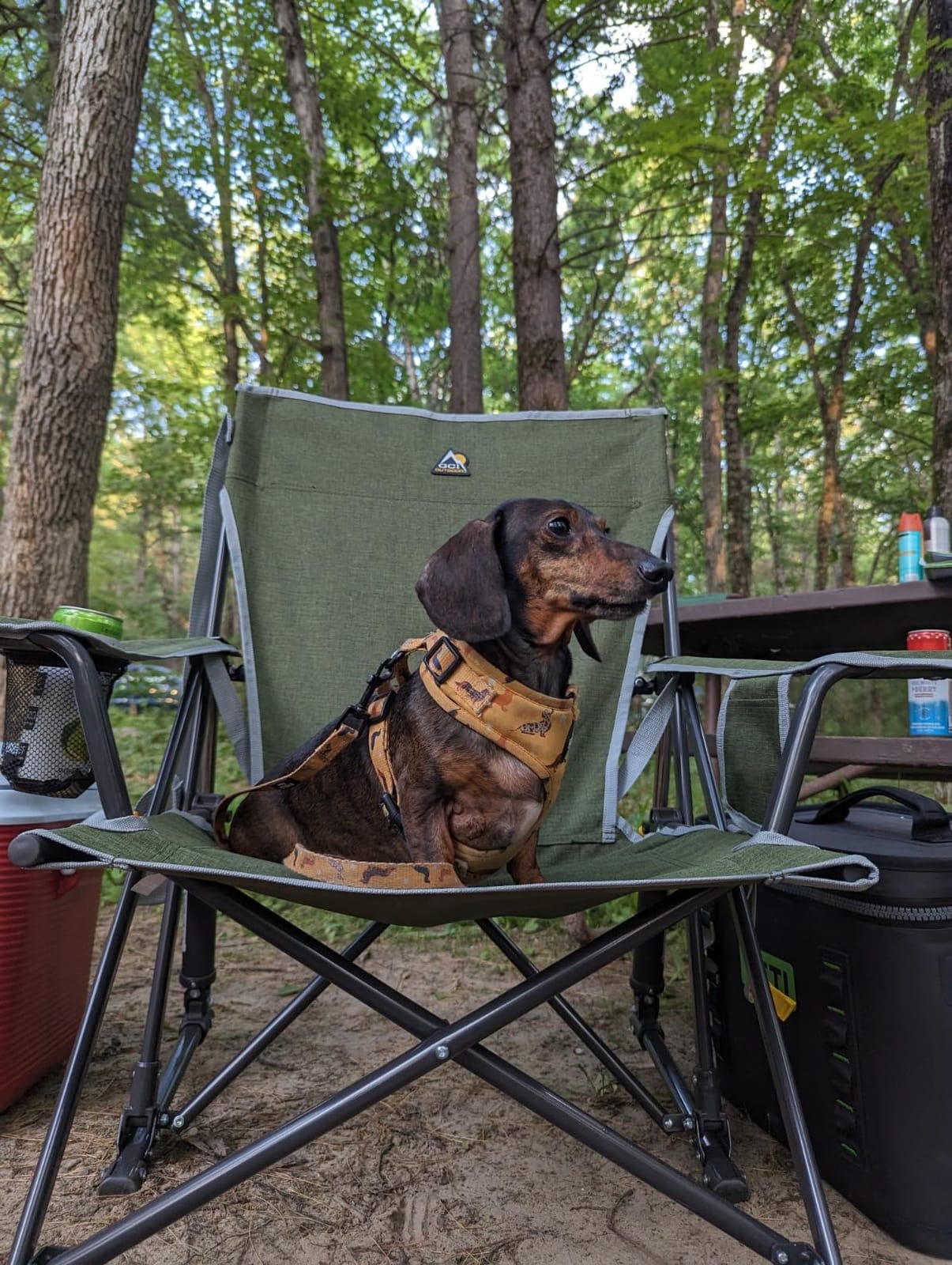 GCI Outdoor Kickback Rocker Camping Chair | Portable Folding Rocking Chair with Durable Armrests, Drink Holder & Relaxed Lowered Seat for Comfort - Red customer photo 1