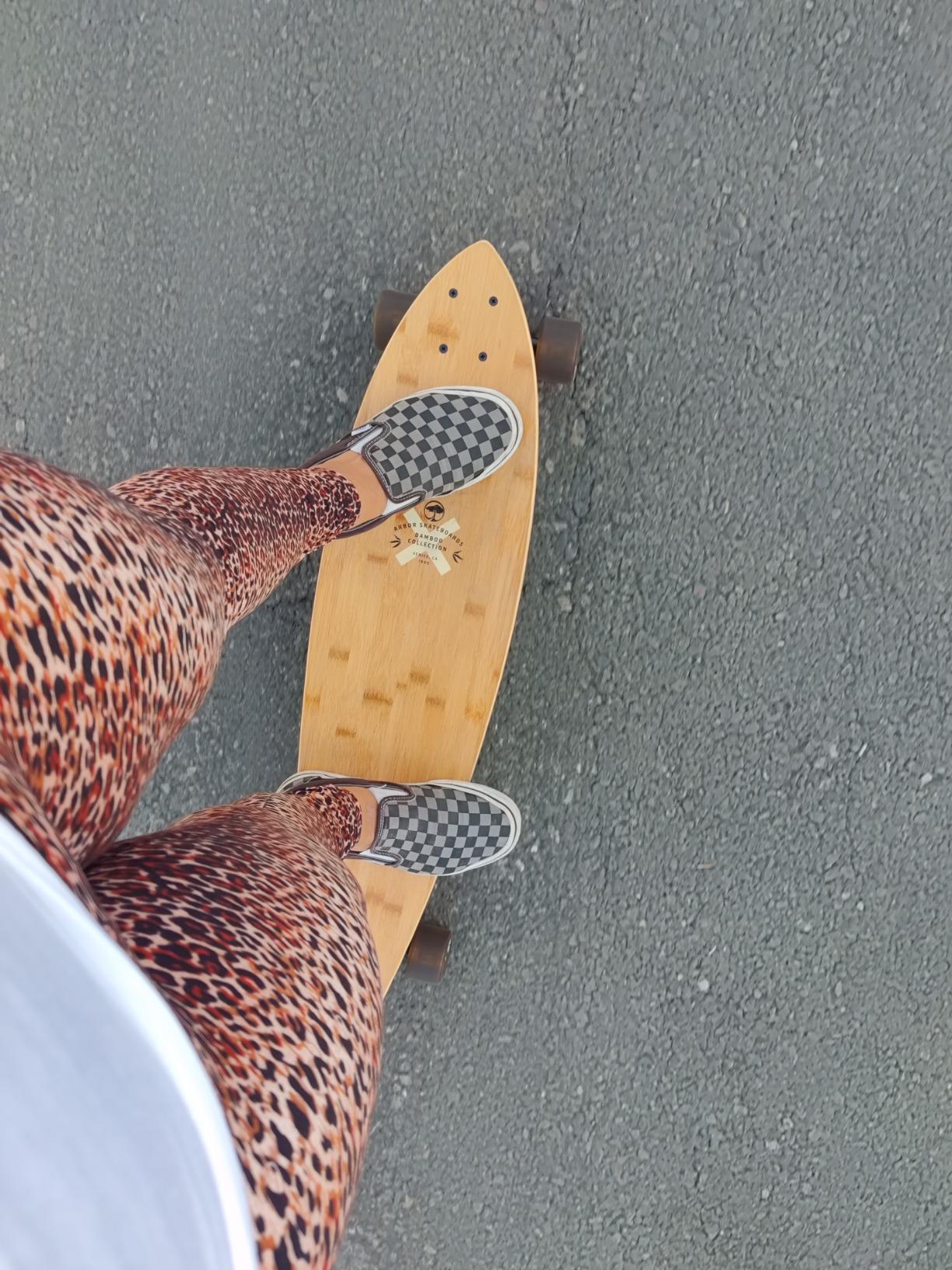 Arbor Collective Fish Bamboo Longboard customer photo 1