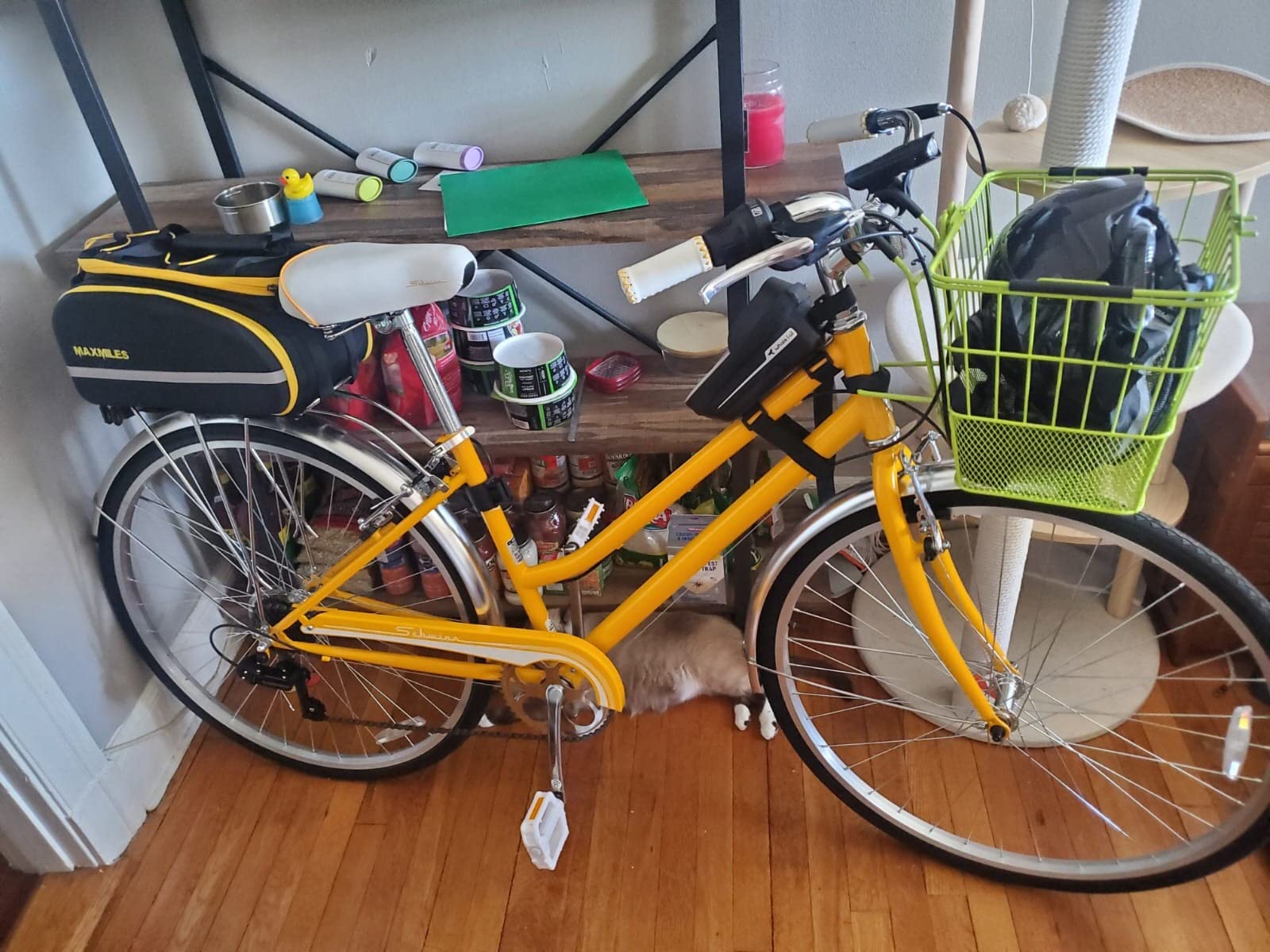 Schwinn Wayfarer Hybrid Bike, 700c Mens and Womens Bike, 7-Speed Hybrid Bicycle, Retro Steel Frame, Front and Rear Linear Pull Brakes, Fenders, Cargo Space, Adult Bicycle customer photo 2