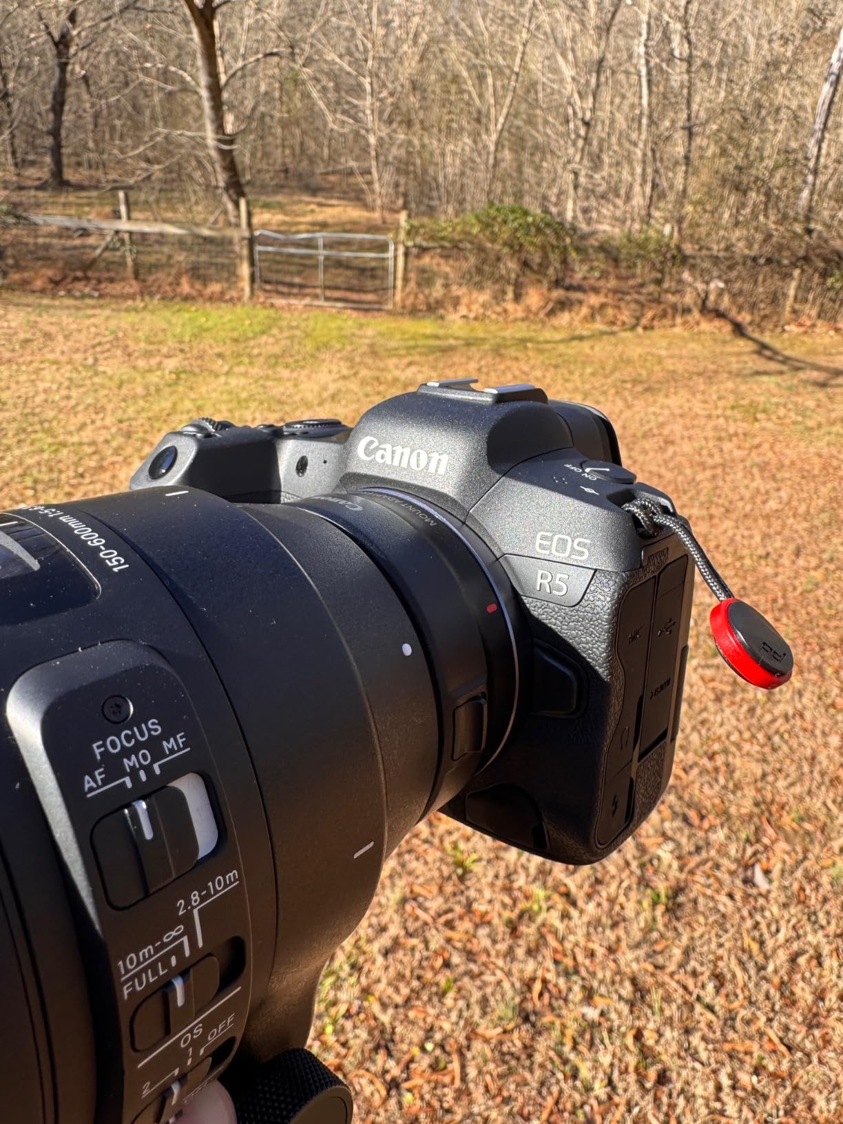 Canon EOS R5 Mirrorless Camera (Body Only), Full-Frame Hybrid Camera, 8K Video, 45 Megapixel CMOS Sensor, DIGIC X Image Processor, Up to 12 FPS, RF Mount, Black customer photo 2