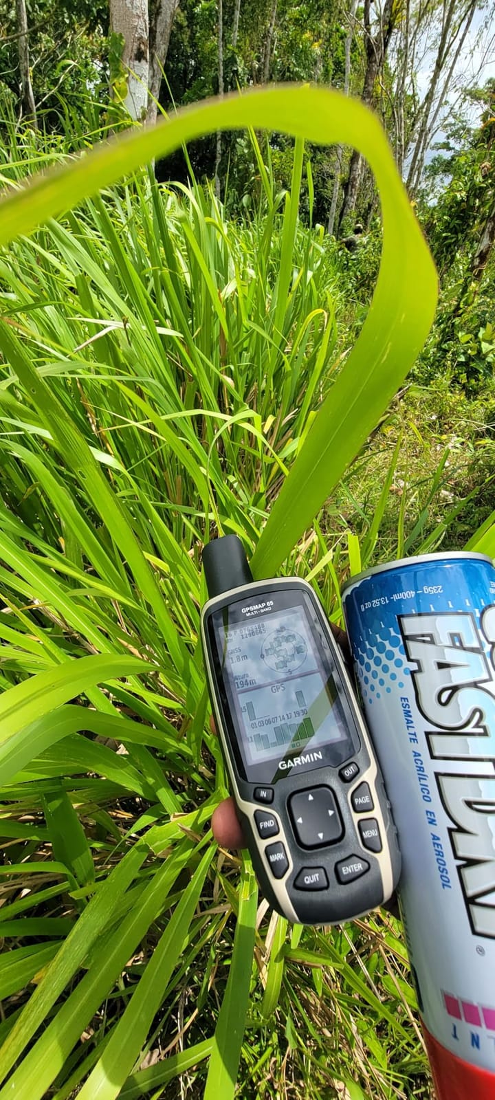 Garmin GPSMAP 65, Button-Operated Handheld with Expanded Satellite Support and Multi-Band Technology customer photo 1
