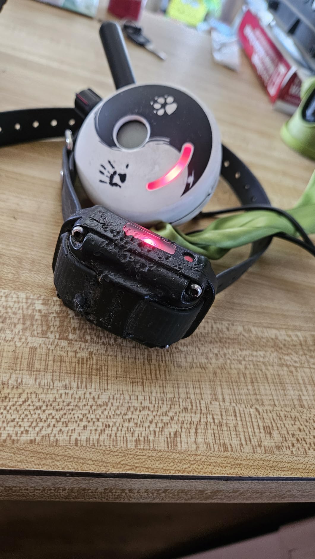 Educator ET-300 Black Mini E Collar for Dog Training with Remote - 1/2 Mile Range, Waterproof, 100 Blunt Stimulation Levels, Tone or Vibration Mode, Night Light Tracking for Small, Medium & Large Dogs customer photo 1