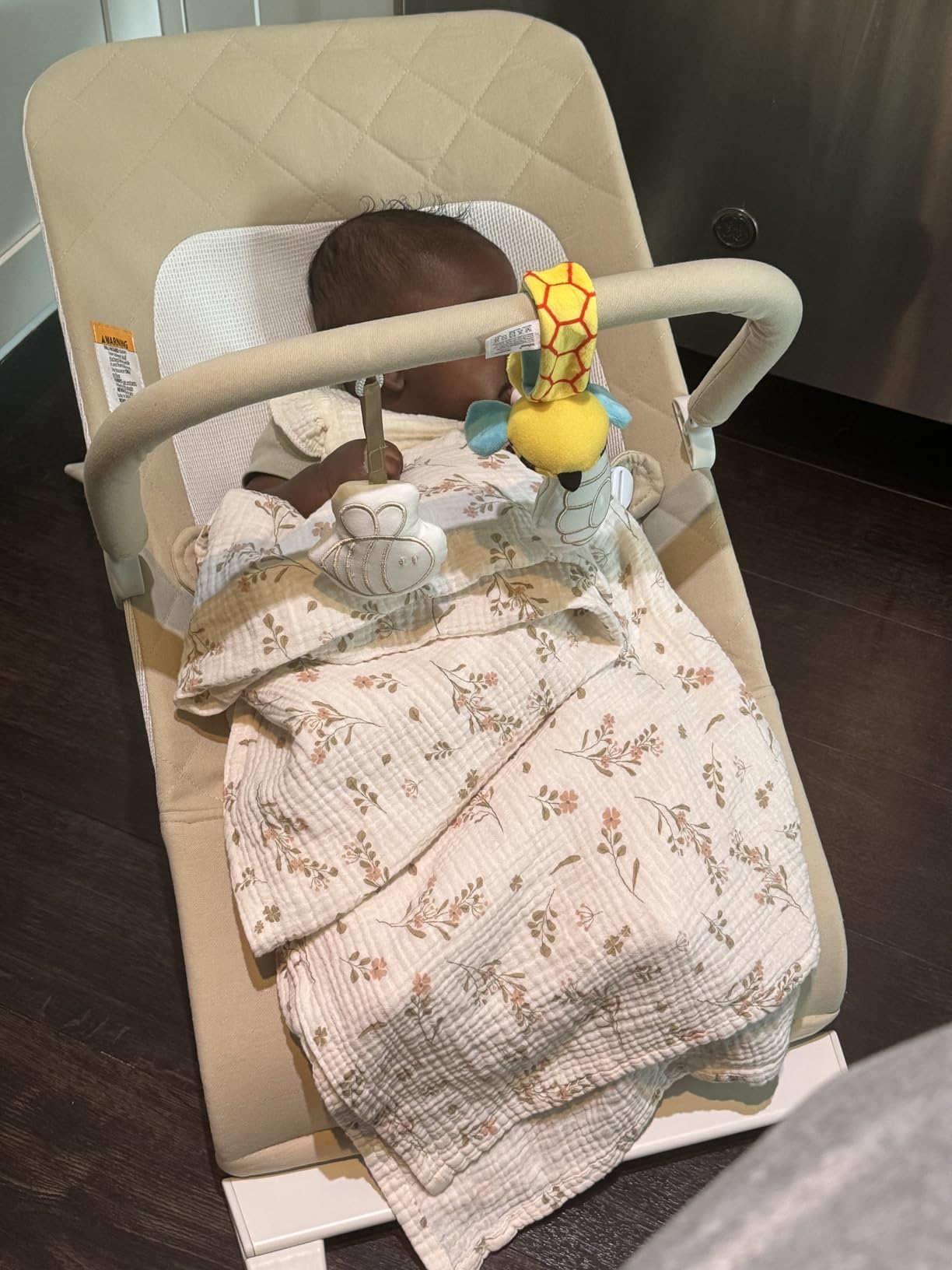 Baby Delight Alpine Deluxe Portable Bouncer, Infant, 0-6 Months, 100% GOTS Certified Cotton Fabrics, Organic Oat customer photo 1