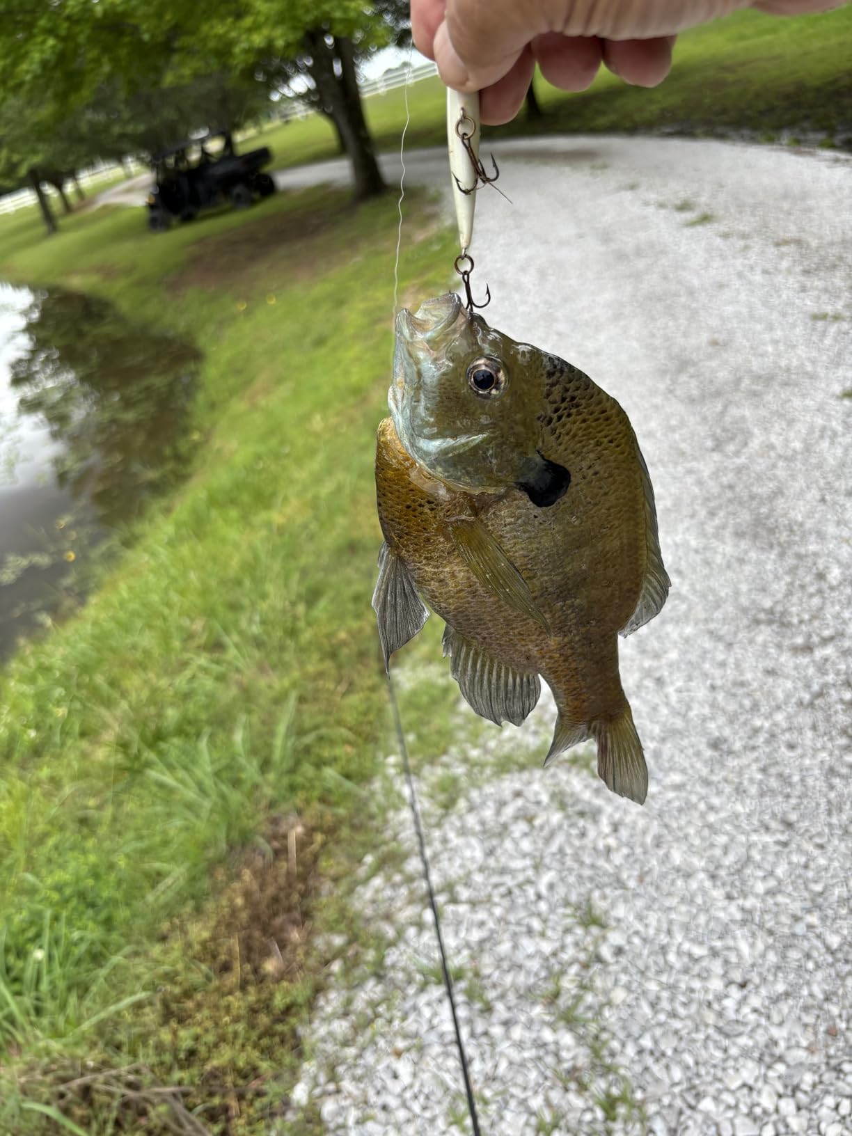 Piscifun Flame Spinning Reel, Lightweight, 22lb Max Drag, 9+1BB customer photo 2