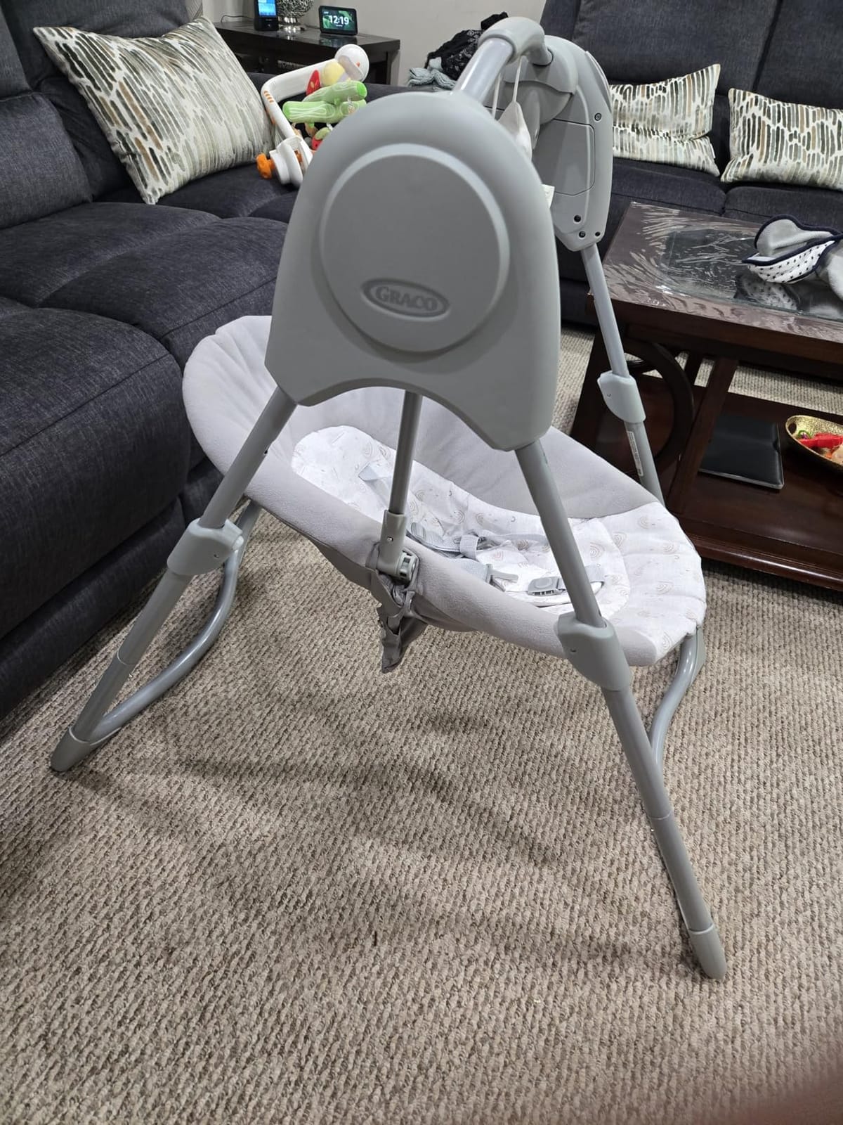 Graco Slim Spaces Compact Baby Swing, Reign customer photo 2