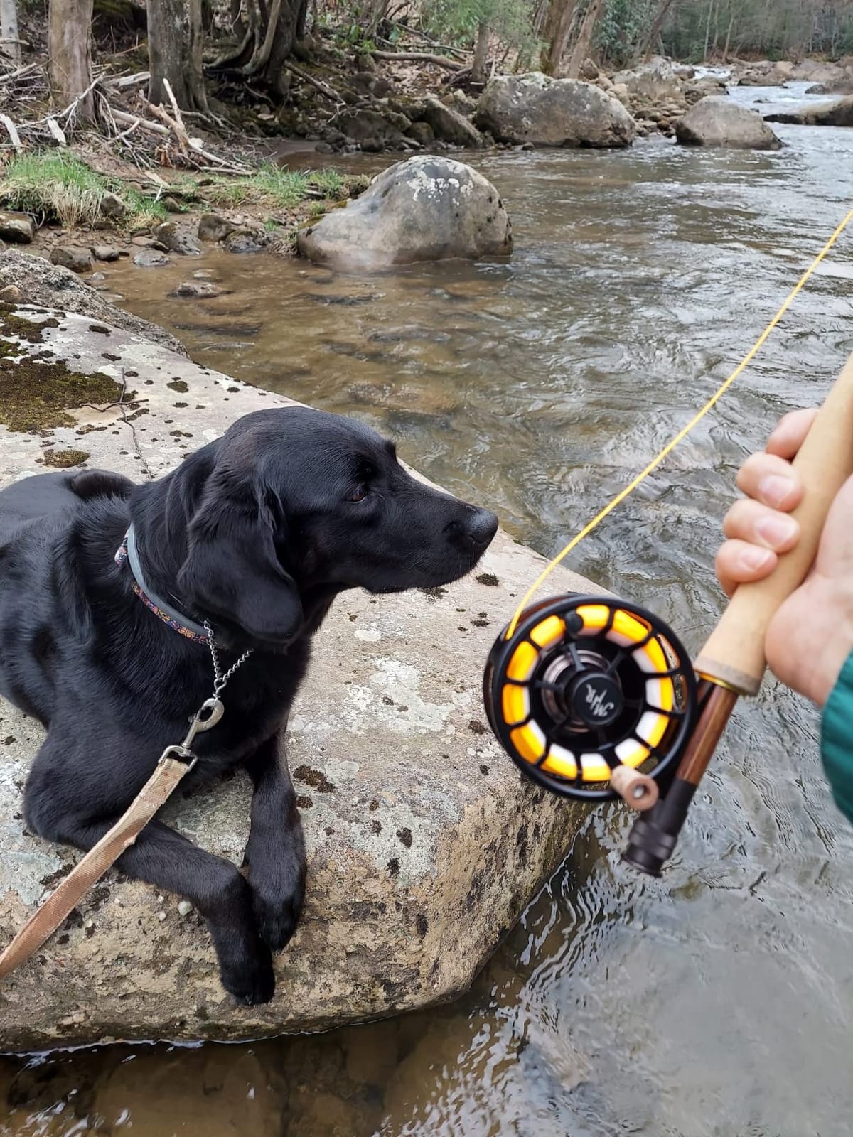 Moonshine Rod Company Fly Fishing Reel The Creede Copper | Fully Machined Large Arbor with Sealed Carbon Disk Drag customer photo 1