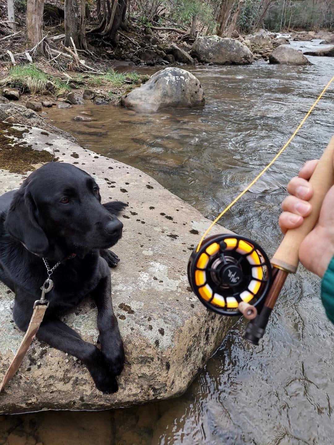 Moonshine Rod Company Fly Fishing Reel The Creede Copper | Fully Machined Large Arbor with Sealed Carbon Disk Drag customer photo 2