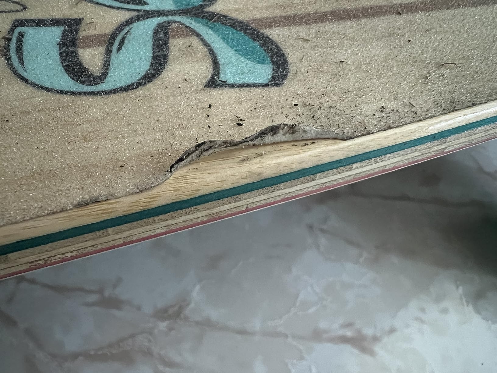 Sector 9 Bamboo Maverick Stack Complete Pintail Skateboard - Factory Direct customer photo 1