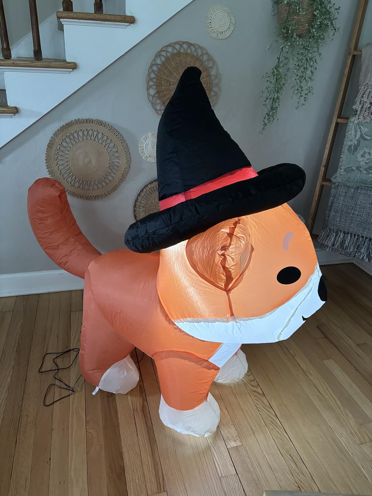 COMIN 4 FT Halloween Inflatable Wizard Corgi Dog Outdoor Decorations | Built-in LED lights, Shiba Inu design for Halloween parties, indoor displays, yards, gardens, and lawns customer photo 2