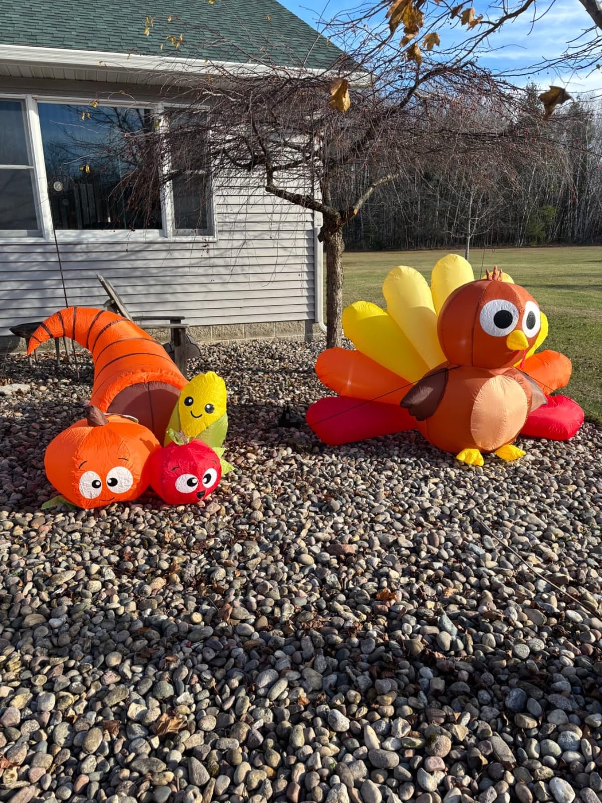 Thanksgiving Inflatables 5.6FT Long Fruit Combo with Built-in LEDs Blow Up Yard Decoration for Holiday Party Indoor Outdoor Garden Lawn | Built-in LED lights, blow-up decoration for Thanksgiving parties, yards, gardens, and lawns customer photo 1
