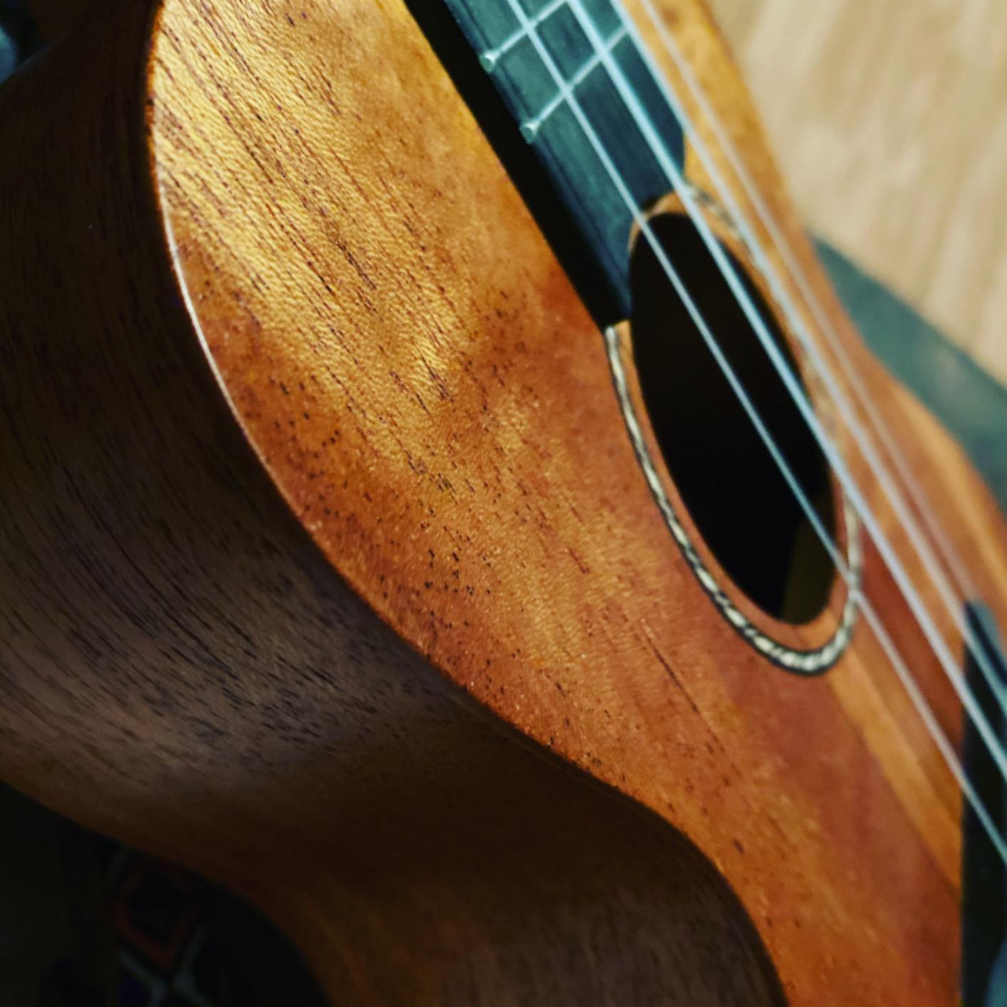 Donner Soprano Ukulele Mahogany 21 inch Ukelele Beginner Kit Online Lesson Gig Bag Strap Nylon String Tuner Picks Cloth DUS-1 Ukalalee Set Christmas Gift customer photo 1