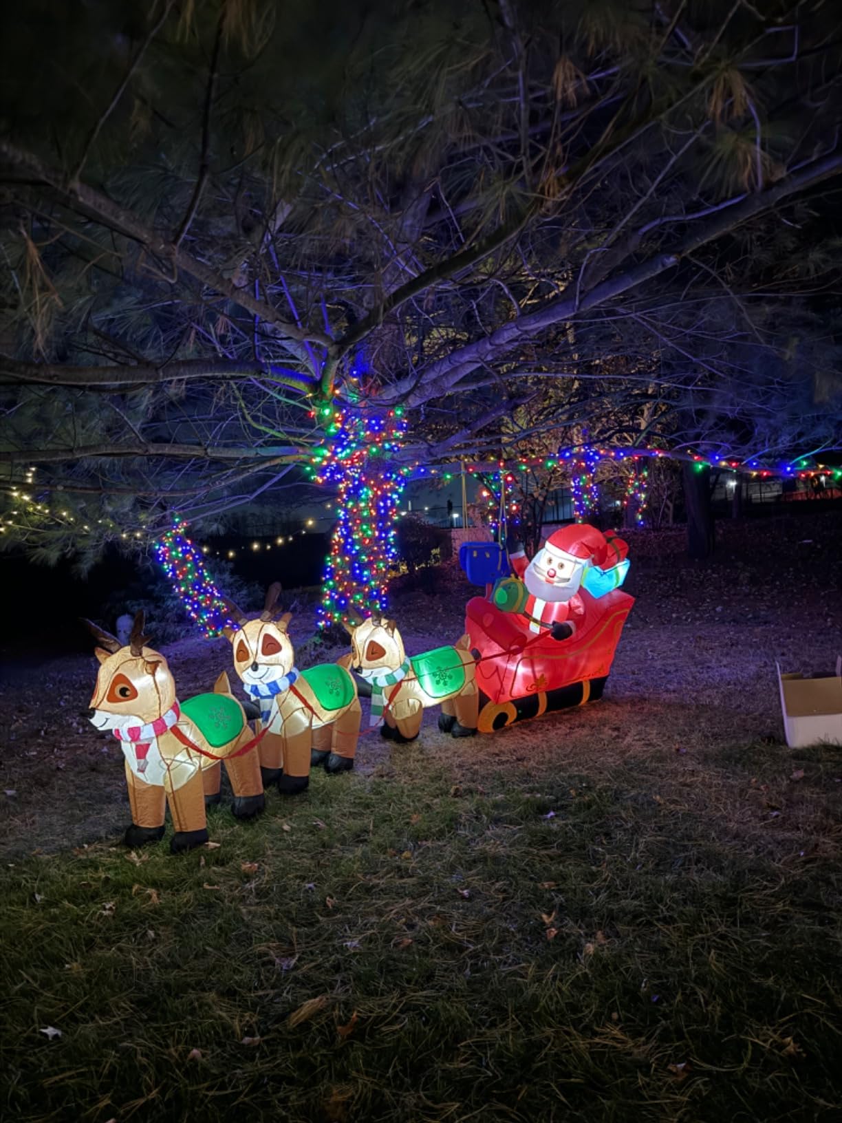 EAONE 12 Ft Christmas Inflatables Outdoor Decorations Giant Blow Up Yard Decorations Inflatable Santa Claus on Sleigh and 3 Reindeer, with Built-in LED Lights for Indoor Outdoor Home Holiday Decor customer photo 1