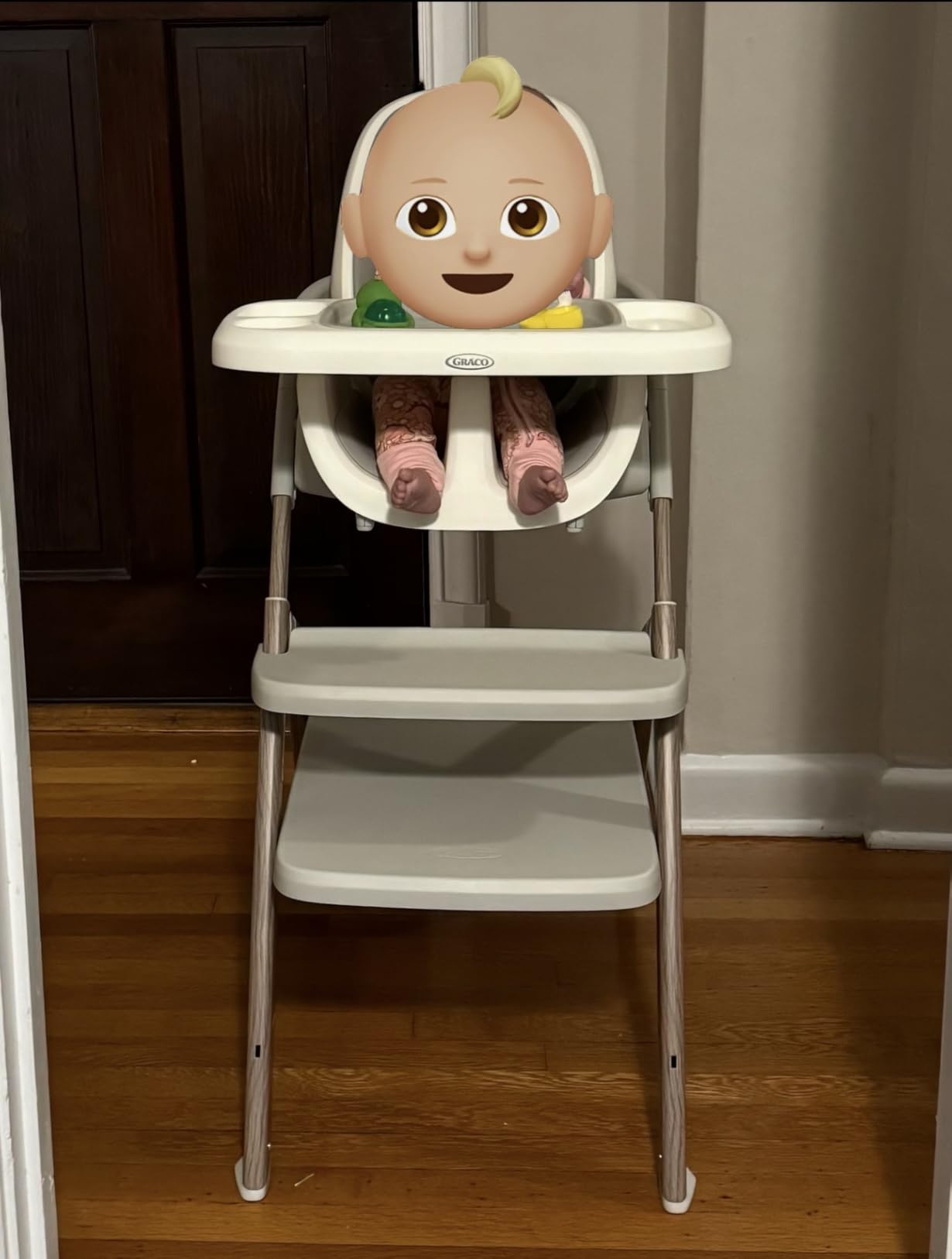 Graco EveryStep 6-in-1 High Chair, Babies and Toddlers Portable Slim High Chair customer photo 2