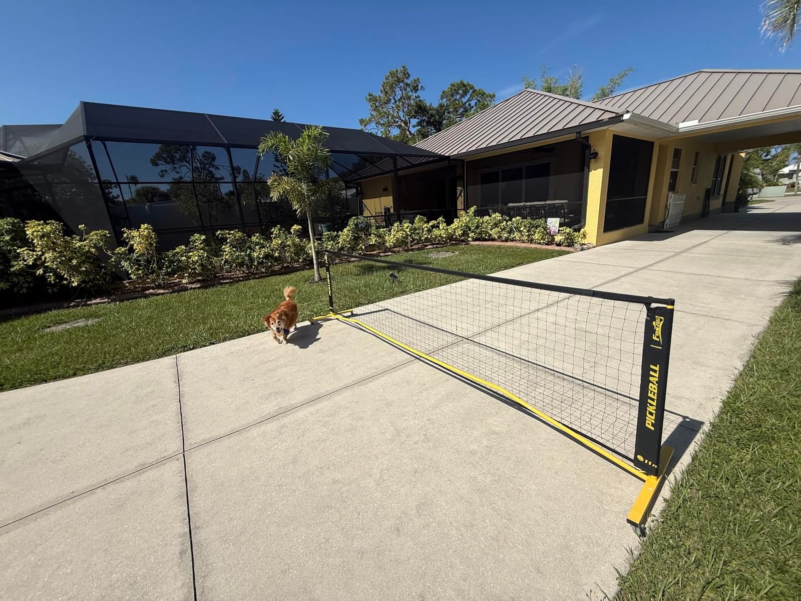Fostoy Portable Pickleball Net Set with Wheels, 22 FT & Half Court 11 FT customer photo 1