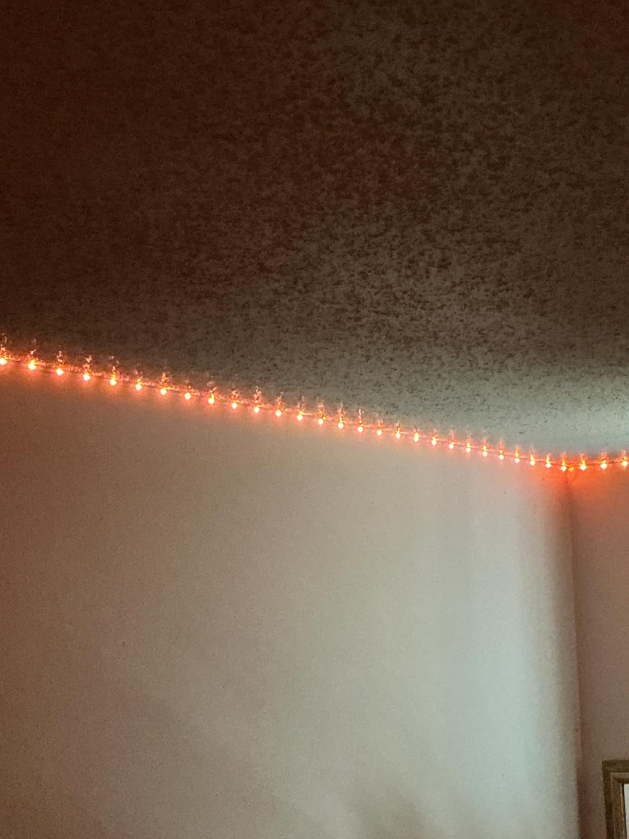 Leeleberd Led Lights for Bedroom 100 ft (2 Rolls of 50ft) Music Sync Color Changing RGB Led Strip Lights with Remote App Control Bluetooth Led Strip, Lights for Room Home Kitchen Party Decor customer photo 2